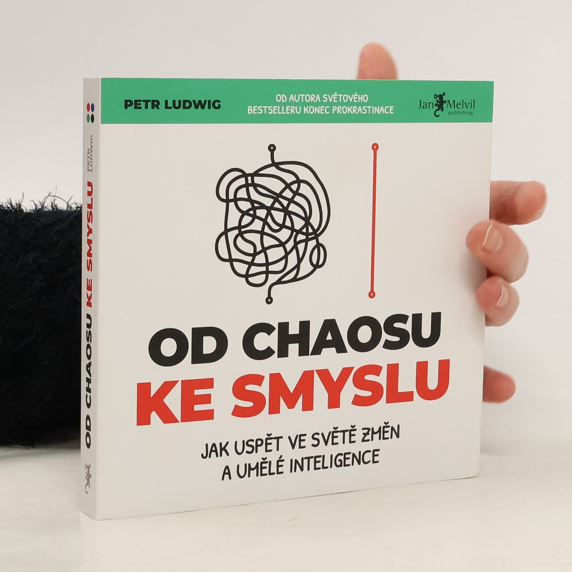 Od chaosu ke smyslu
