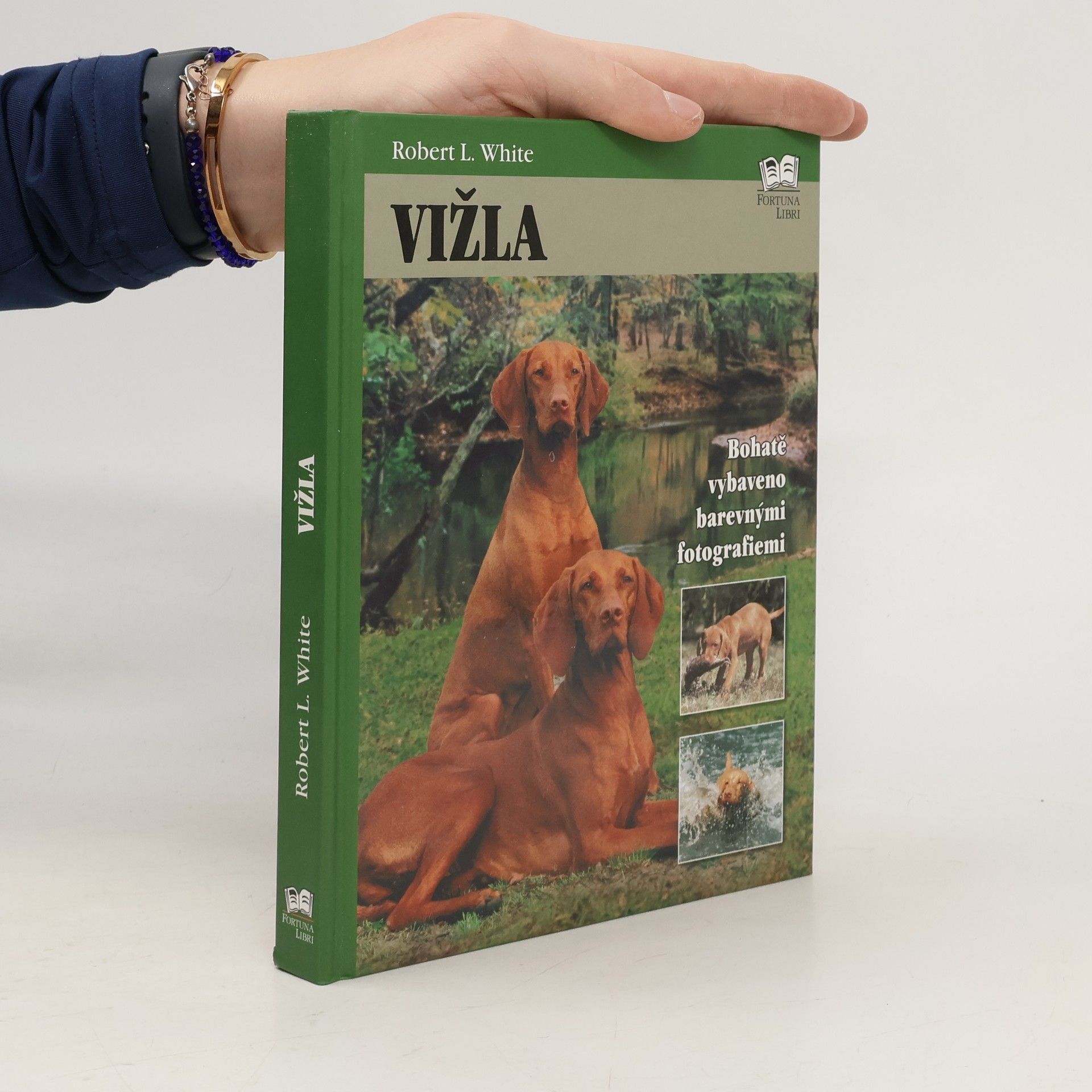 Robert L. White Vižla