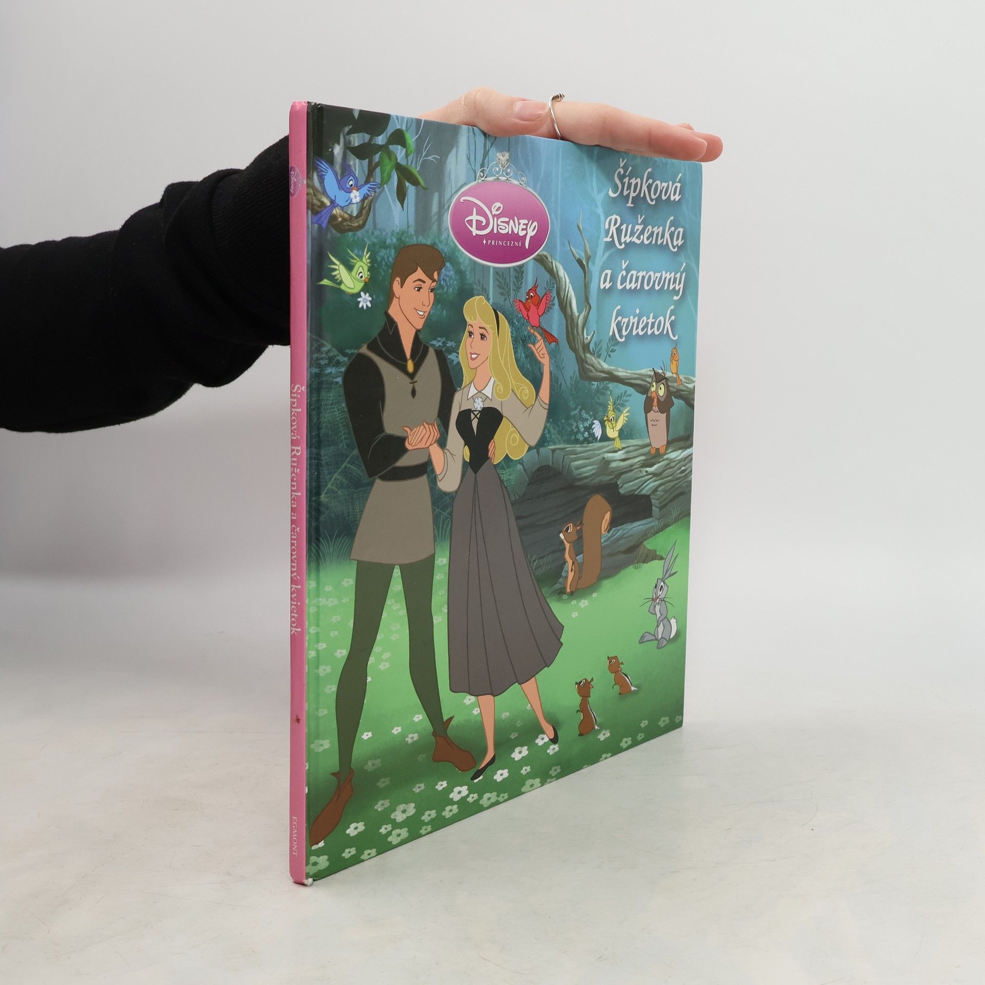 Walt Disney Šípková Ruženka a čarovný kvietok