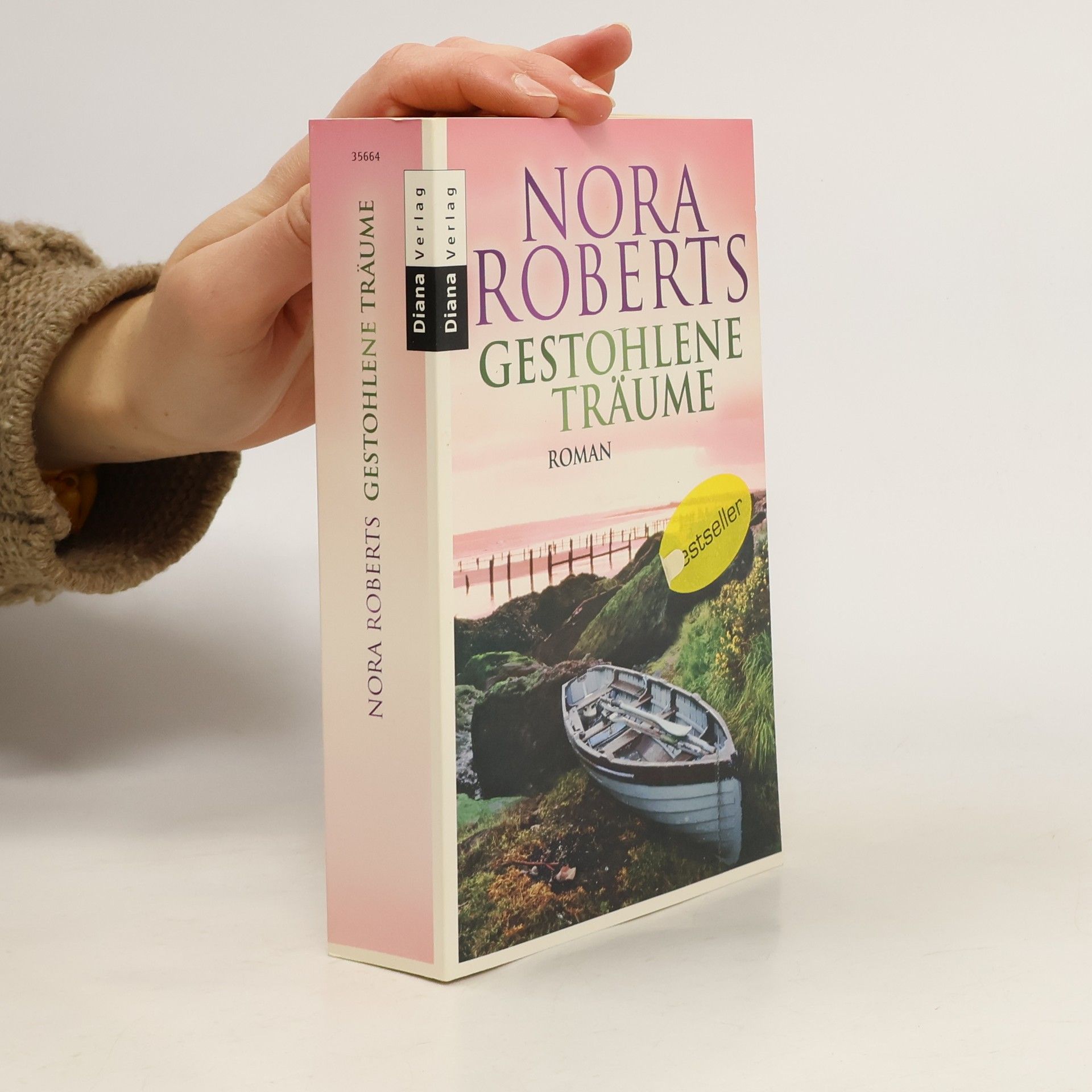 Nora Roberts Gestohlene Träume