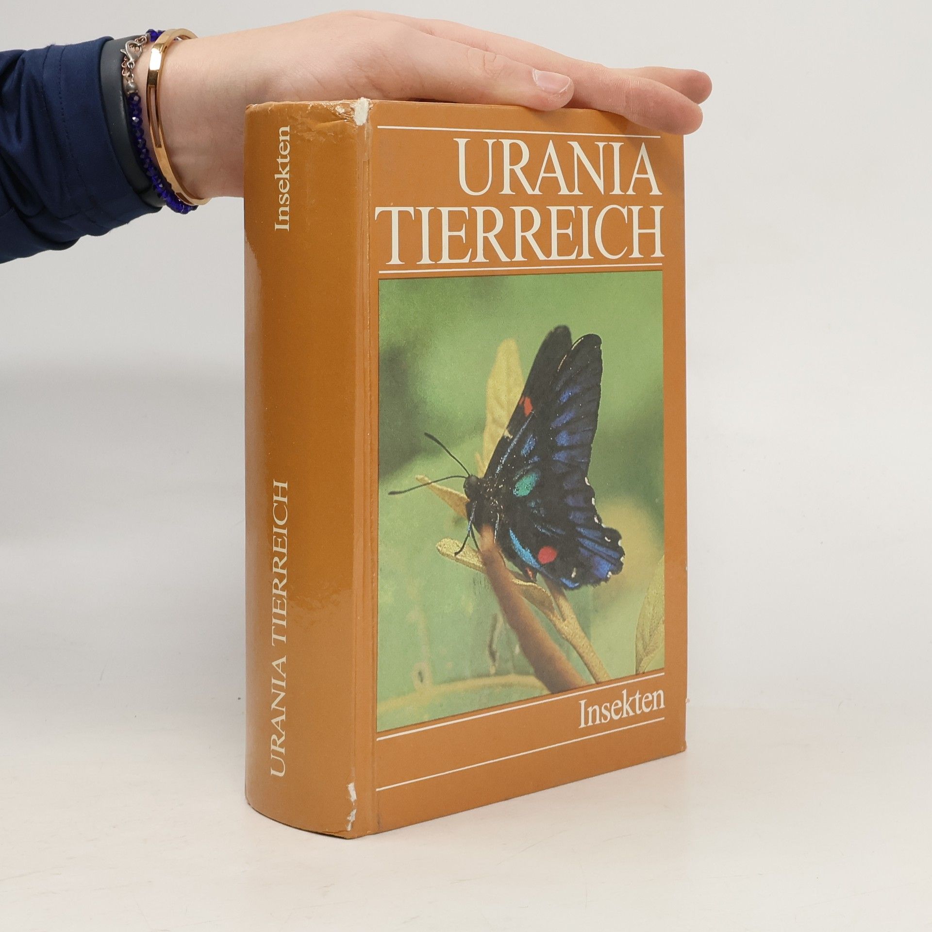 Urania Tierreich. Insekten