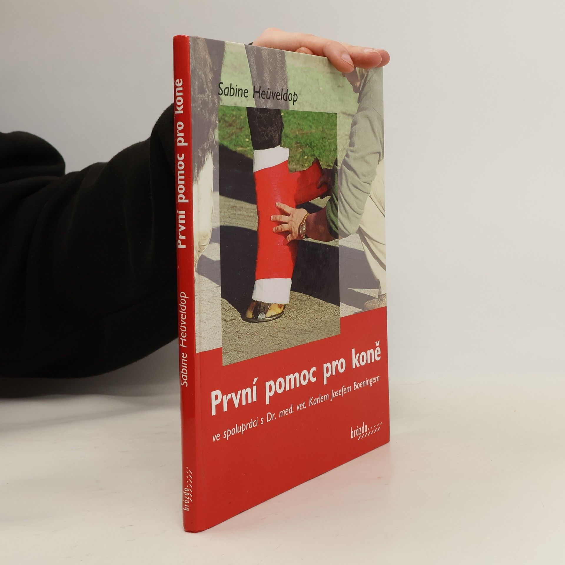 První pomoc pro koně