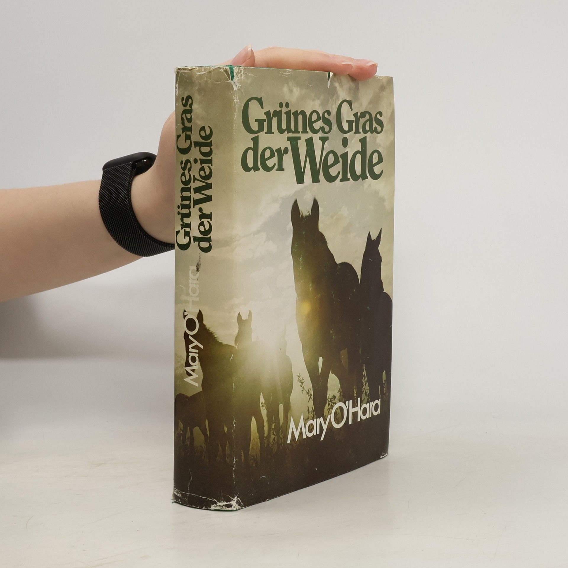 Grünes Gras der Weide