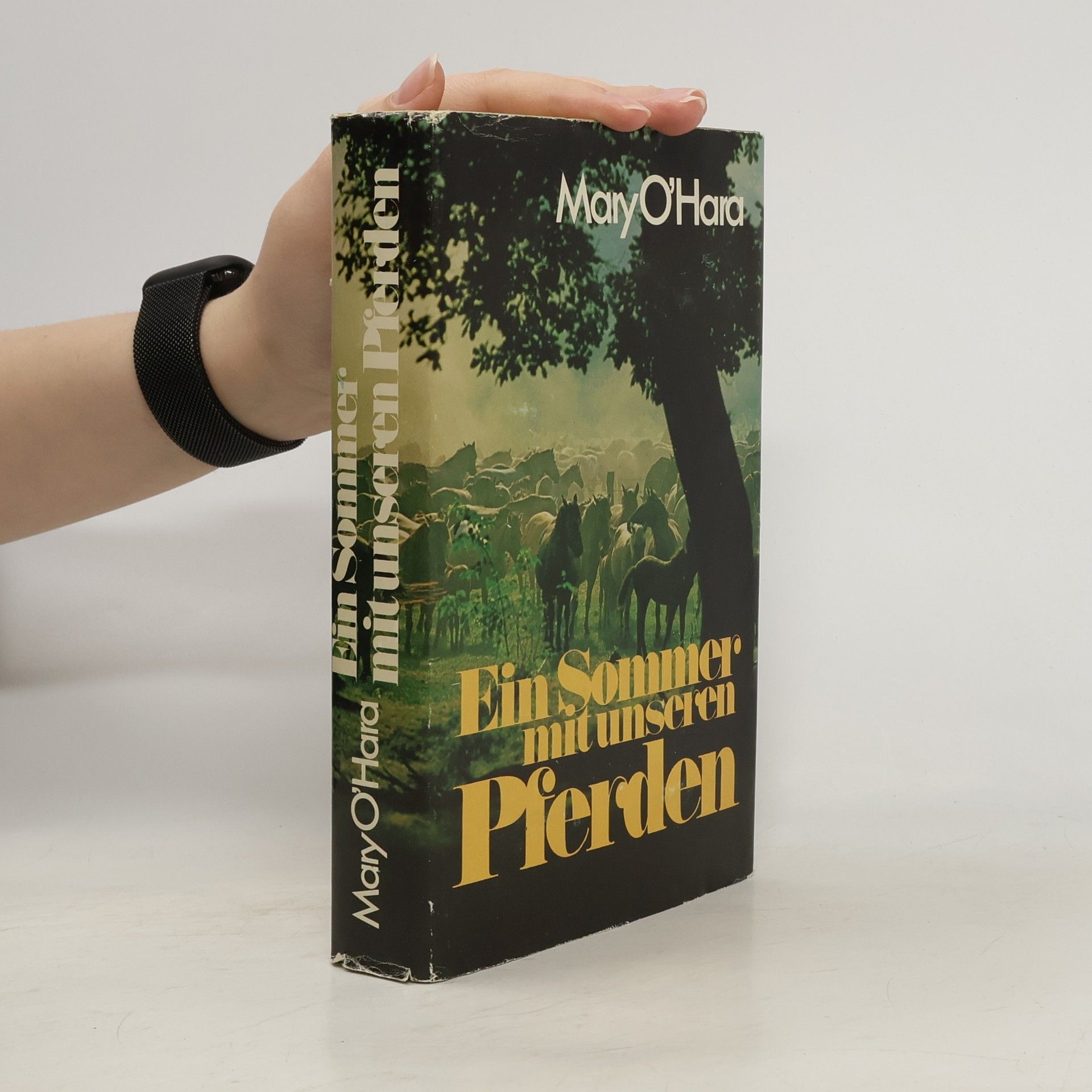 Ein Sommer mit unseren Pferden