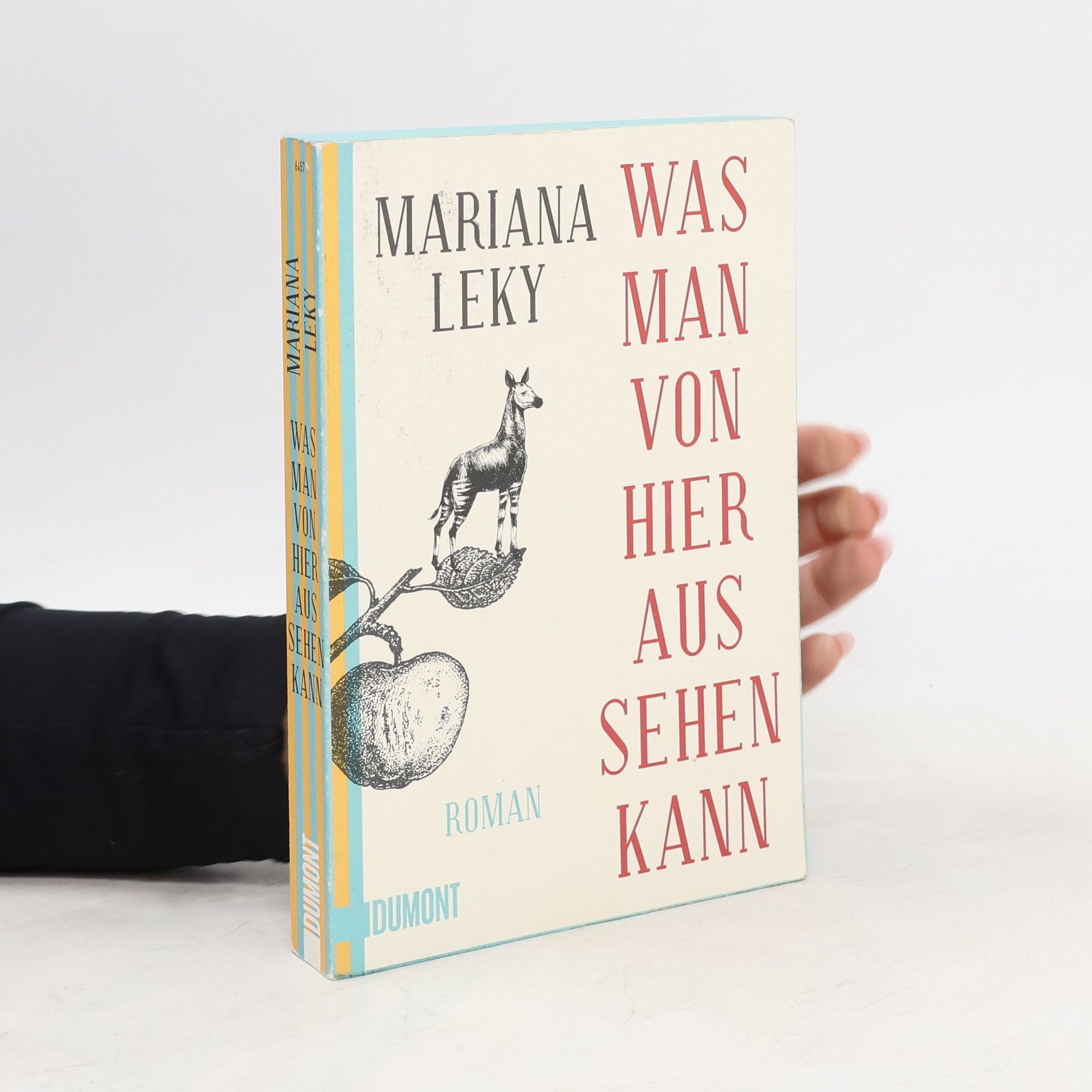 Mariana Leky Was man von hier aus sehen kann