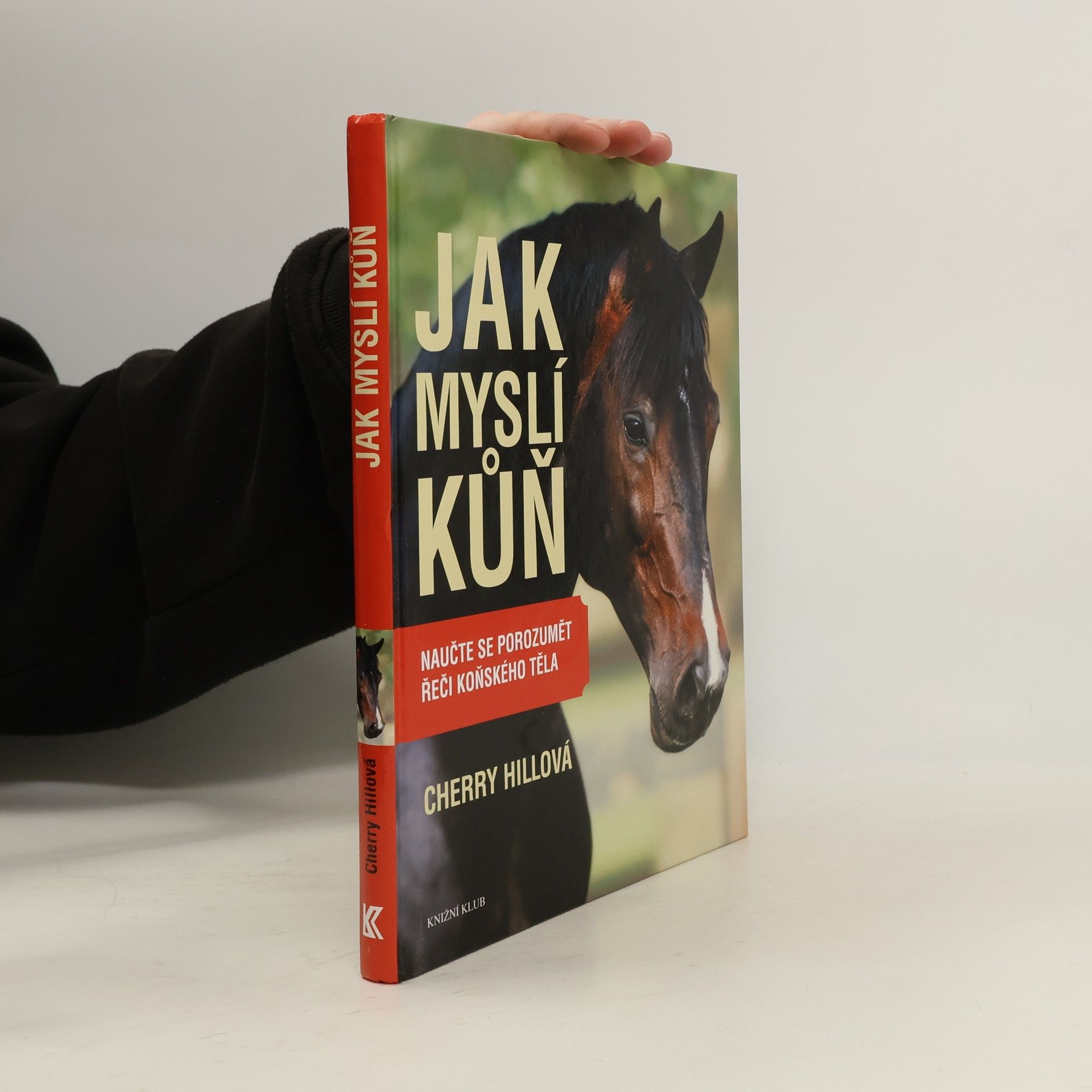 Cherry Hill Jak myslí kůň