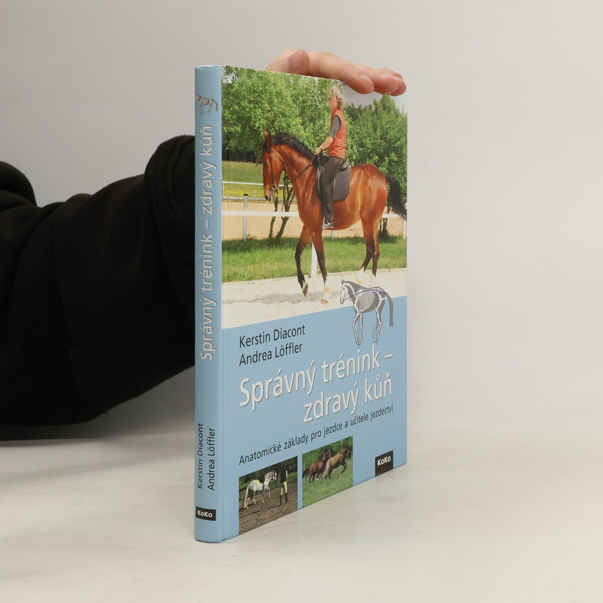 Správný trénink - zdravý kůň