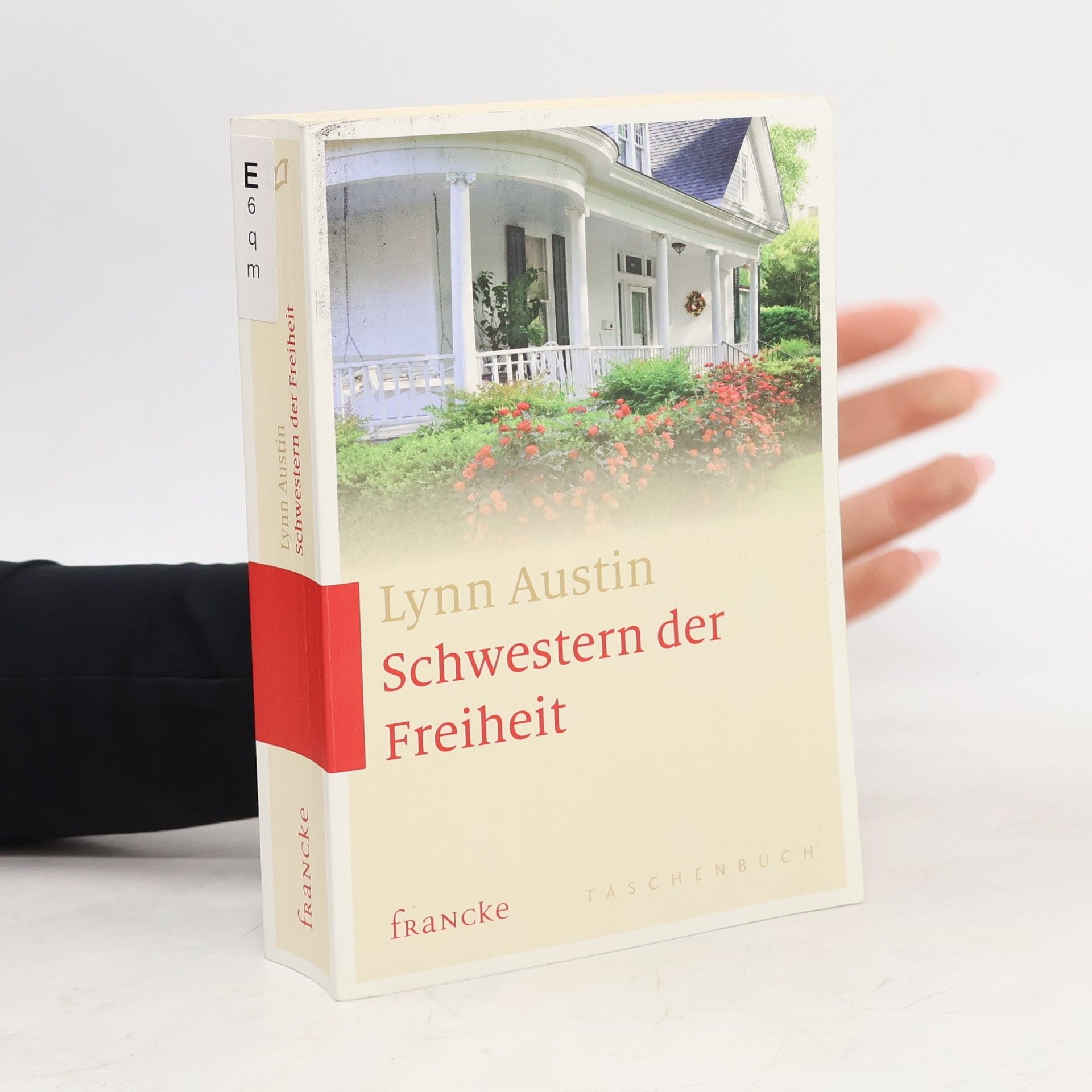 Lynn Austin Schwestern der Freiheit