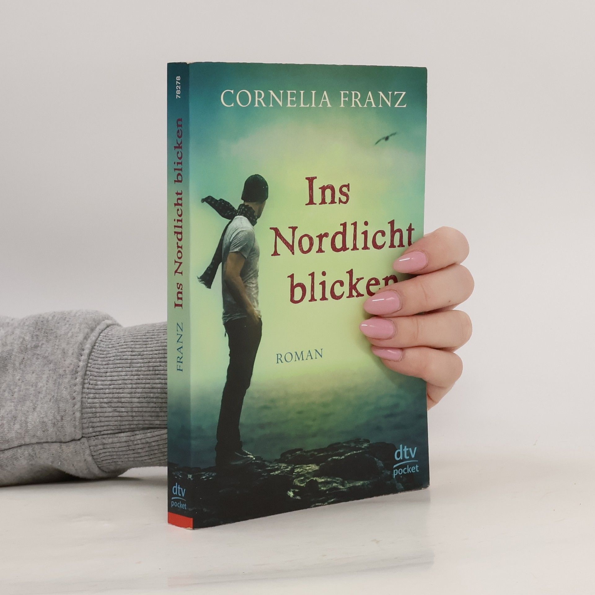 Cornelia Franz Ins Nordlicht blicken