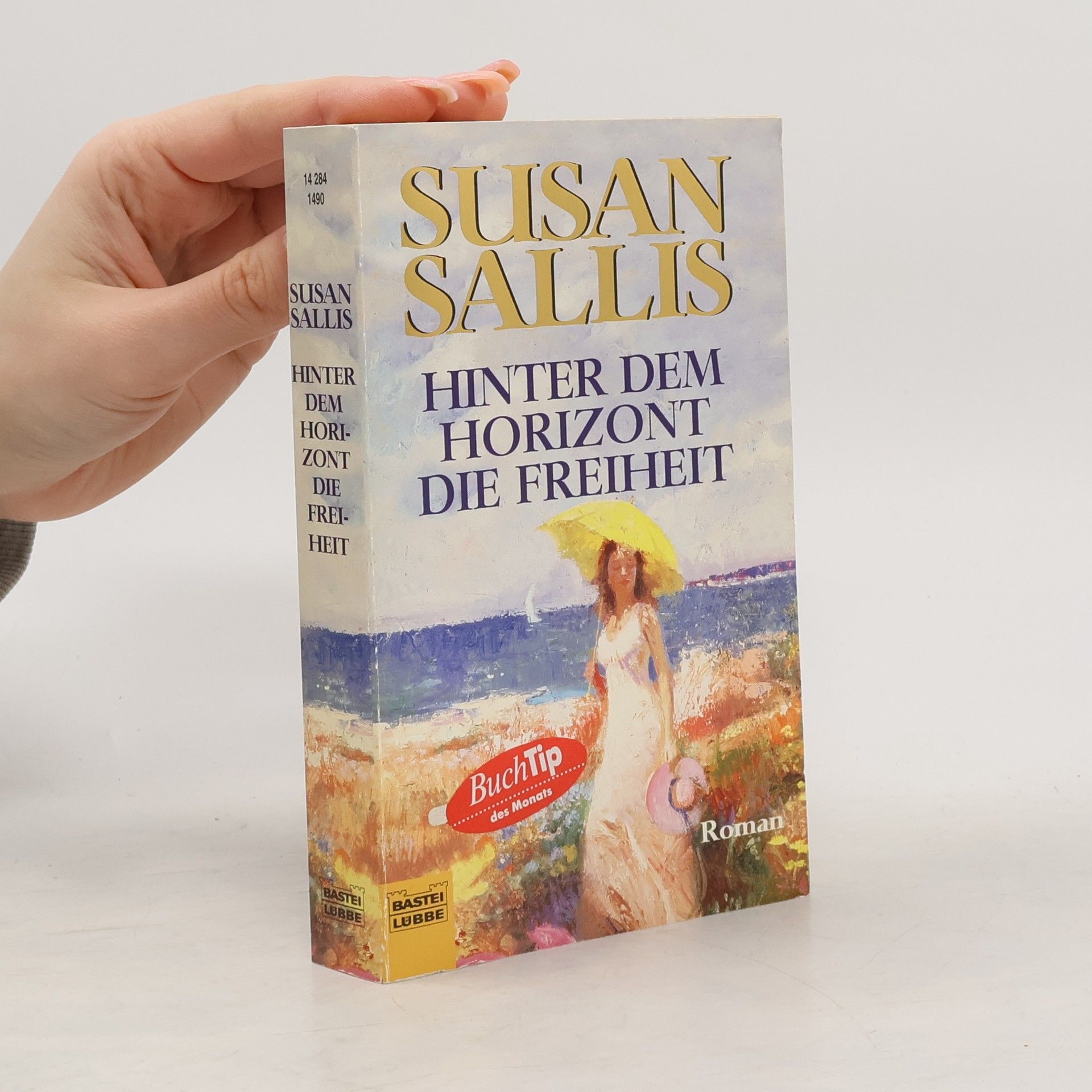 Susan Sallis Hinter dem Horizont die Freiheit. Roman. Aus d. Engl. v. Eva Malsch