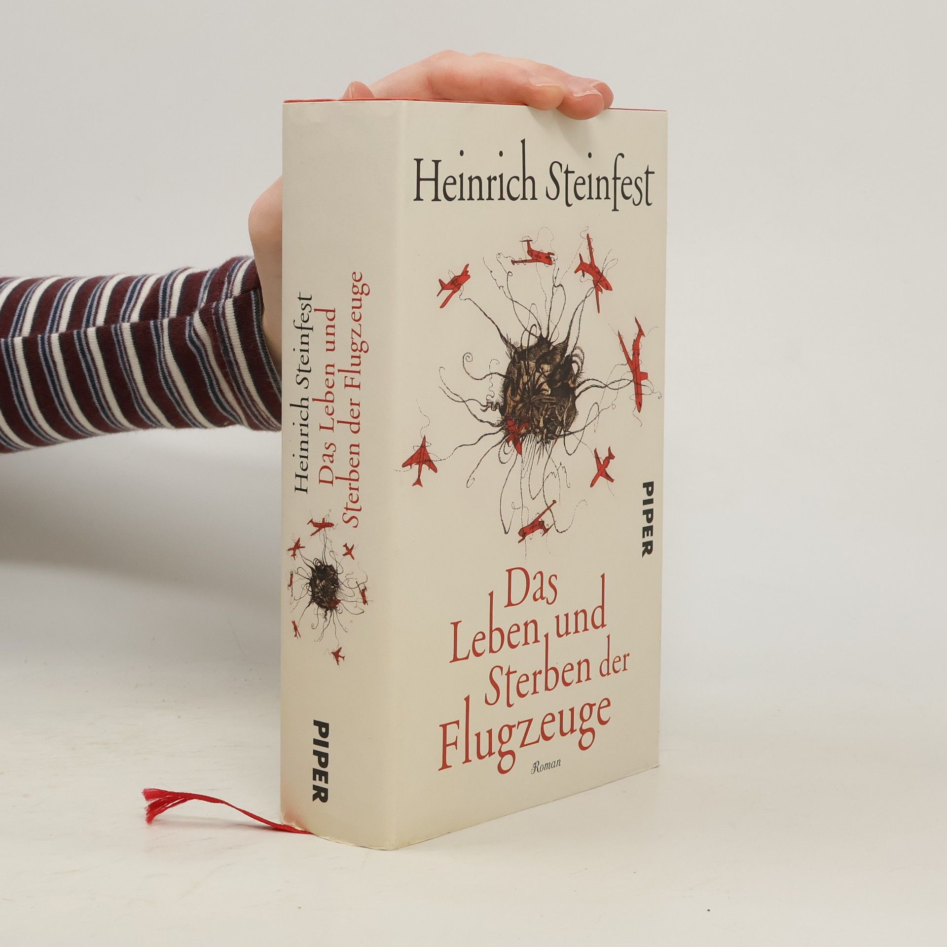 Heinrich Steinfest Das Leben und Sterben der Flugzeuge