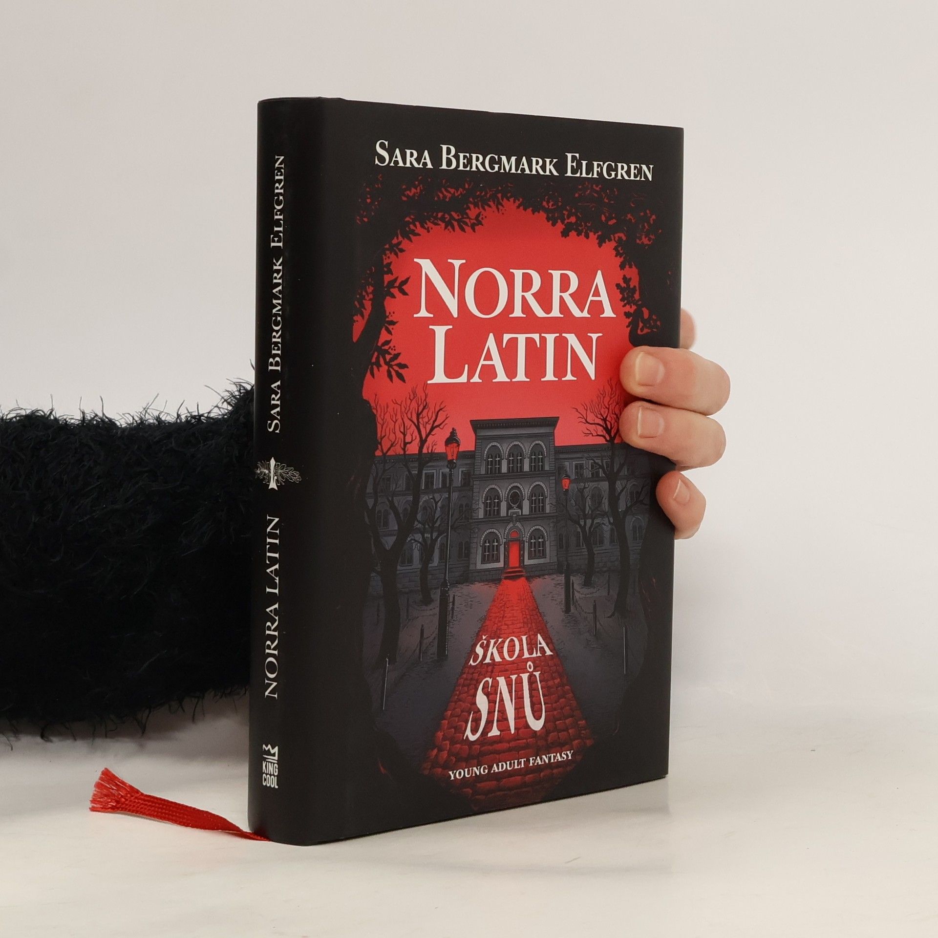 Sara Bergmark Elfmark Norra Latin. Škola snů