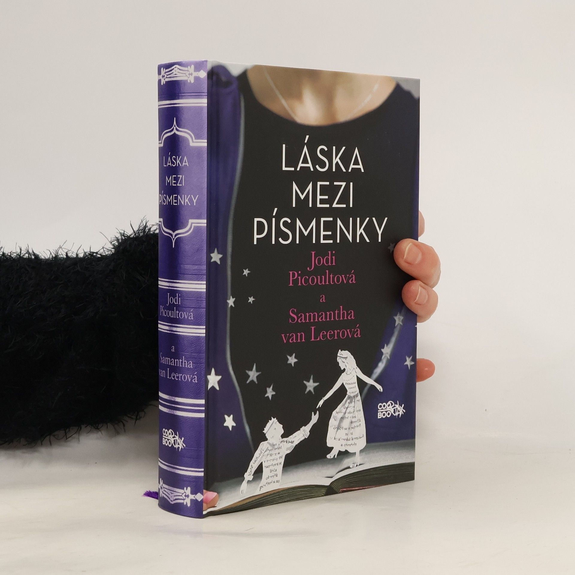 Jodi Picoult Láska mezi písmenky