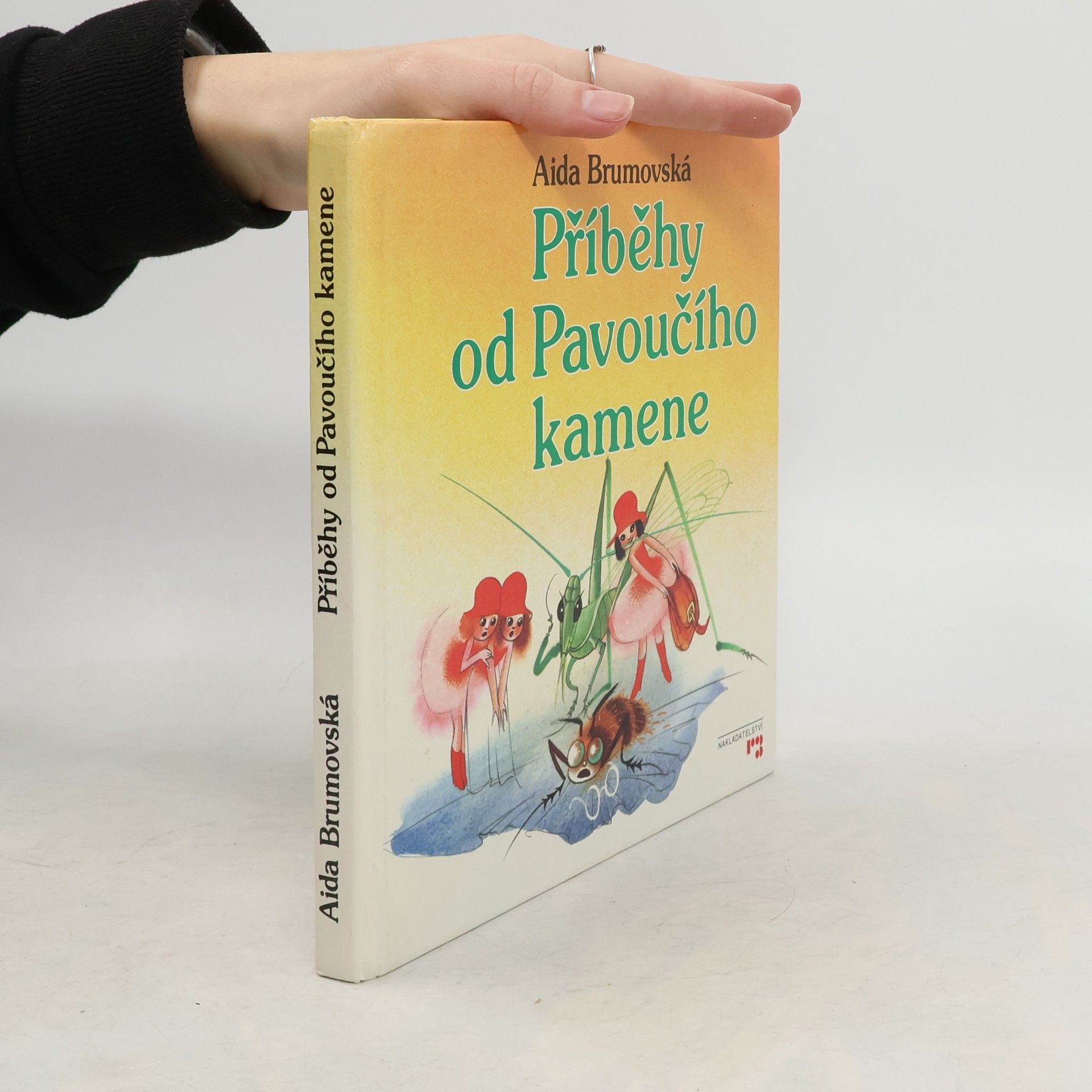 Aida Brumovská Příběhy od Pavoučího kamene