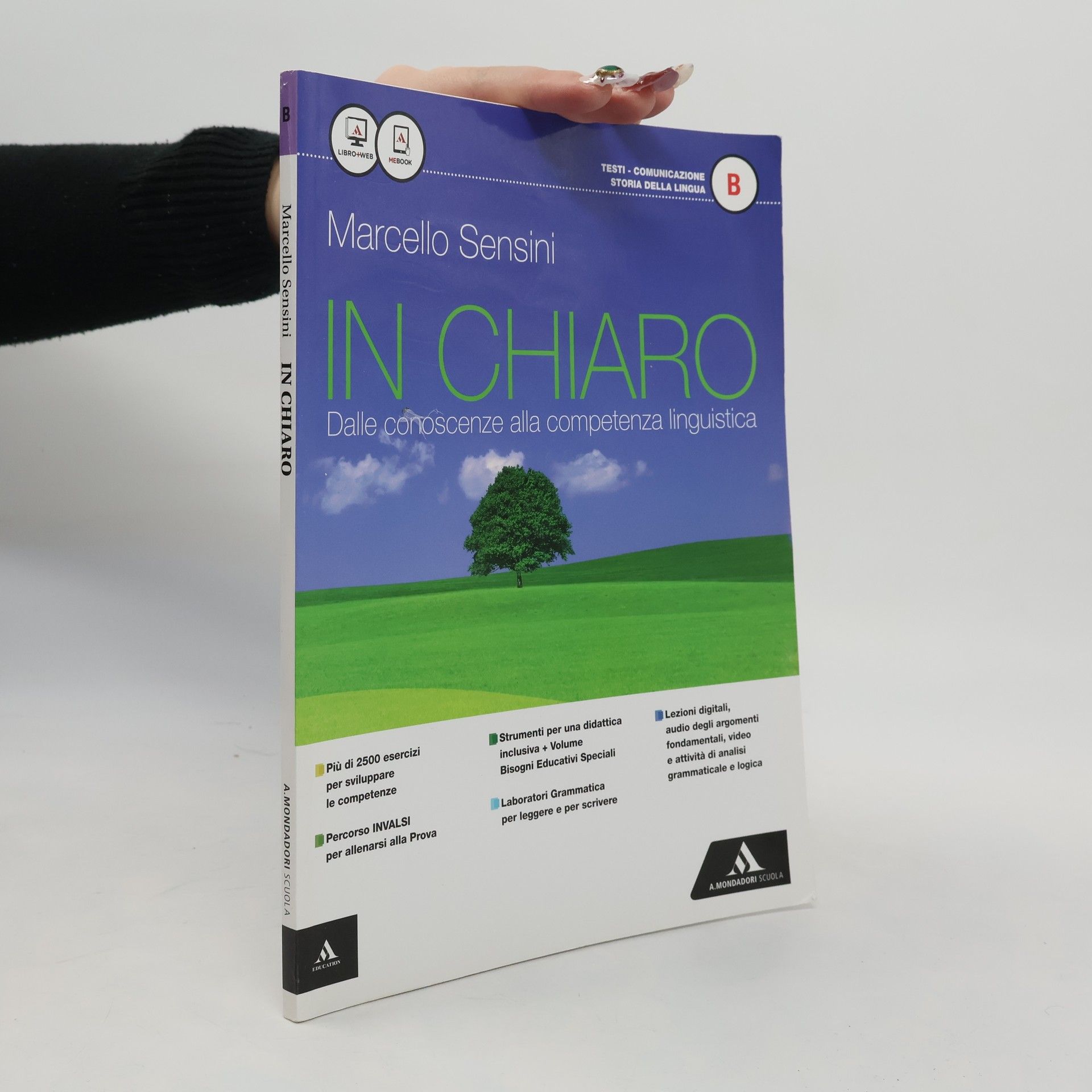 Marcello Sensini In chiaro B