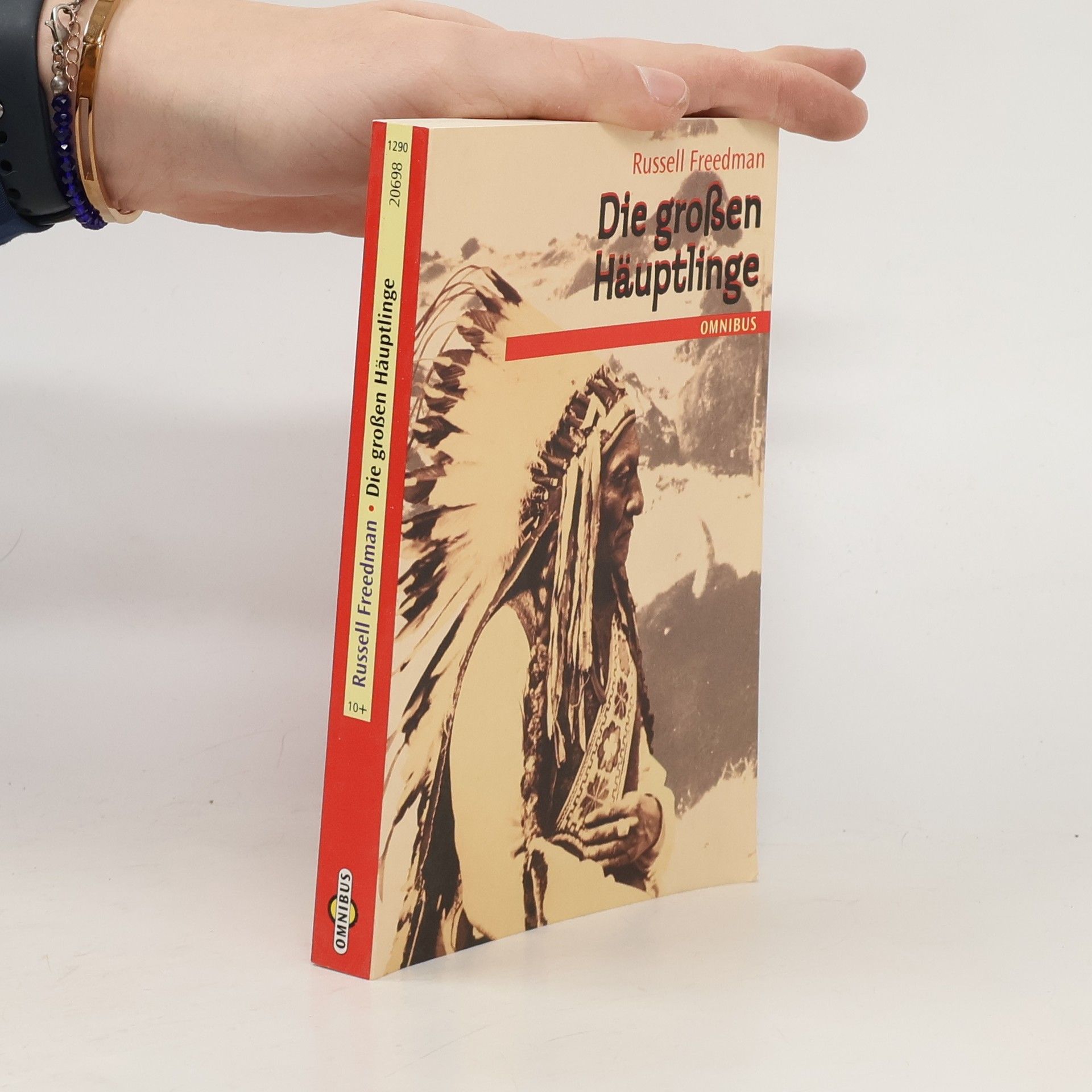 Die großen Häuptlinge