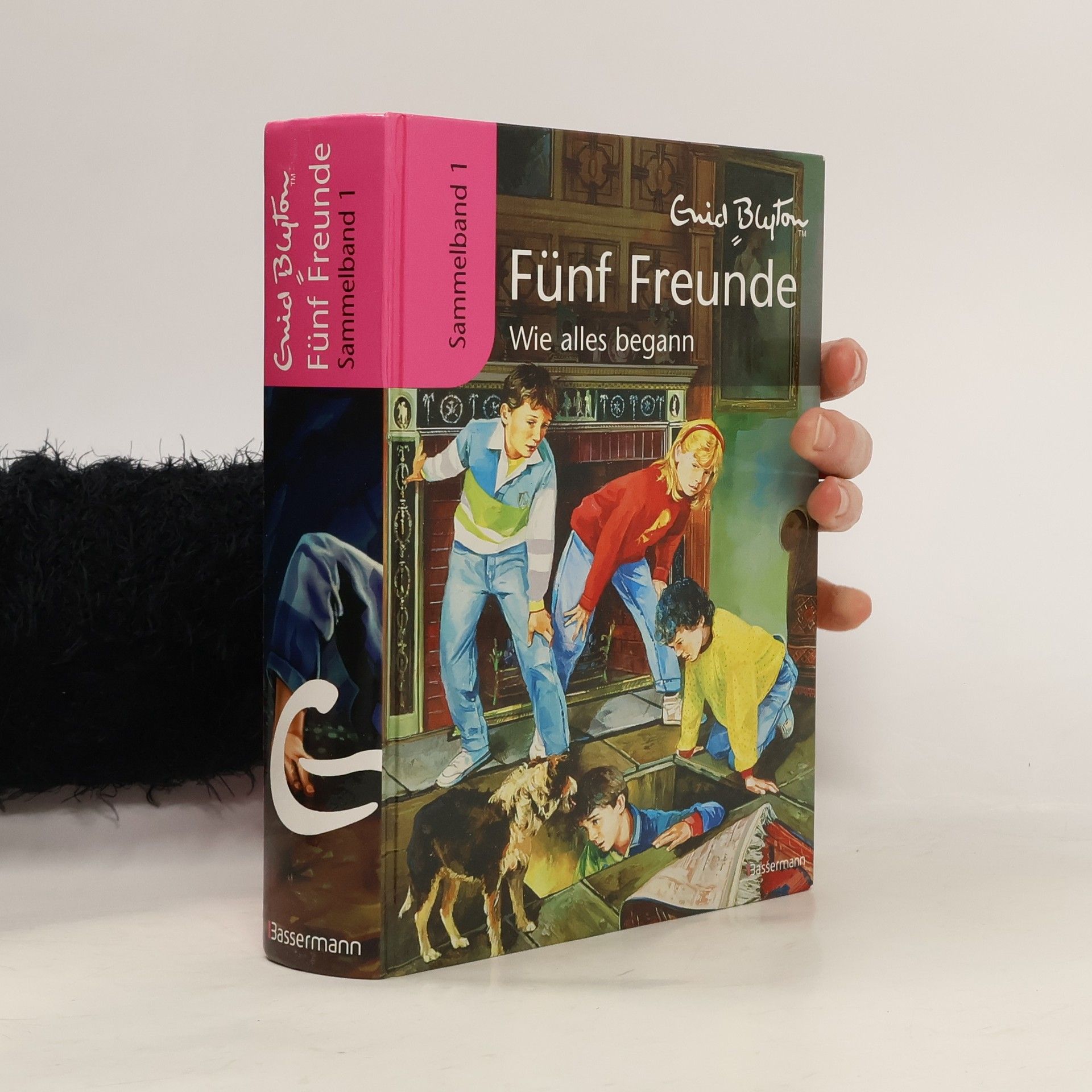 Fünf Freunde: Wie alles begann