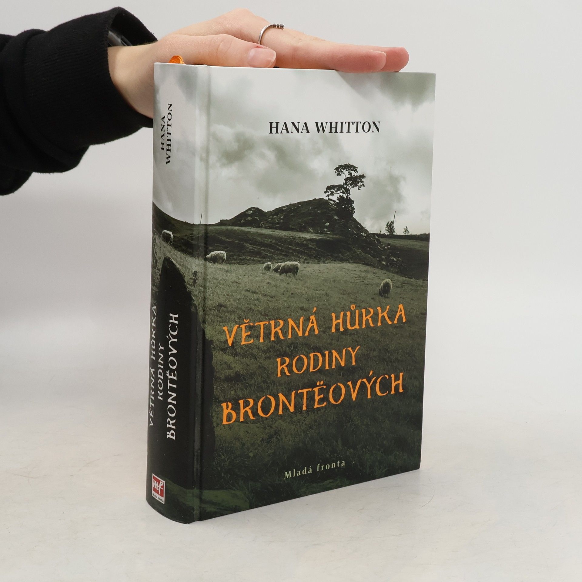 Větrná hůrka rodiny Brontëových