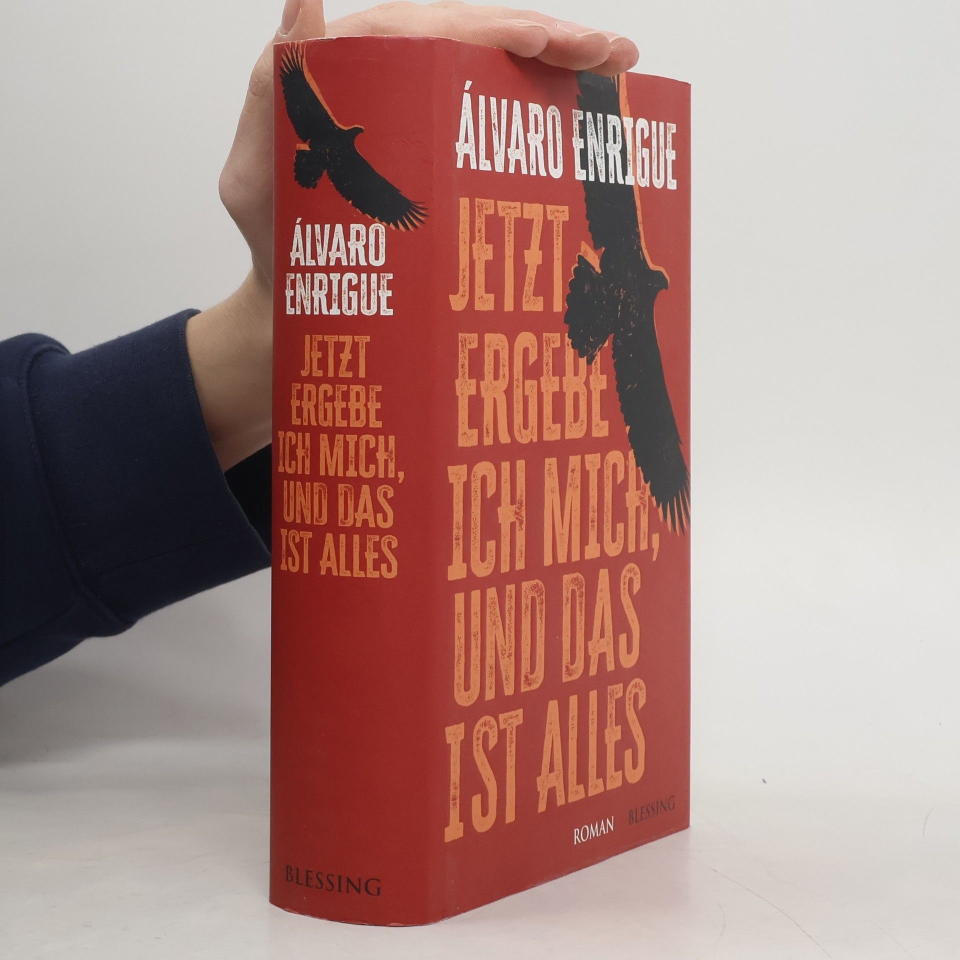 Álvaro Enrigue Jetzt ergebe ich mich, und das ist alles