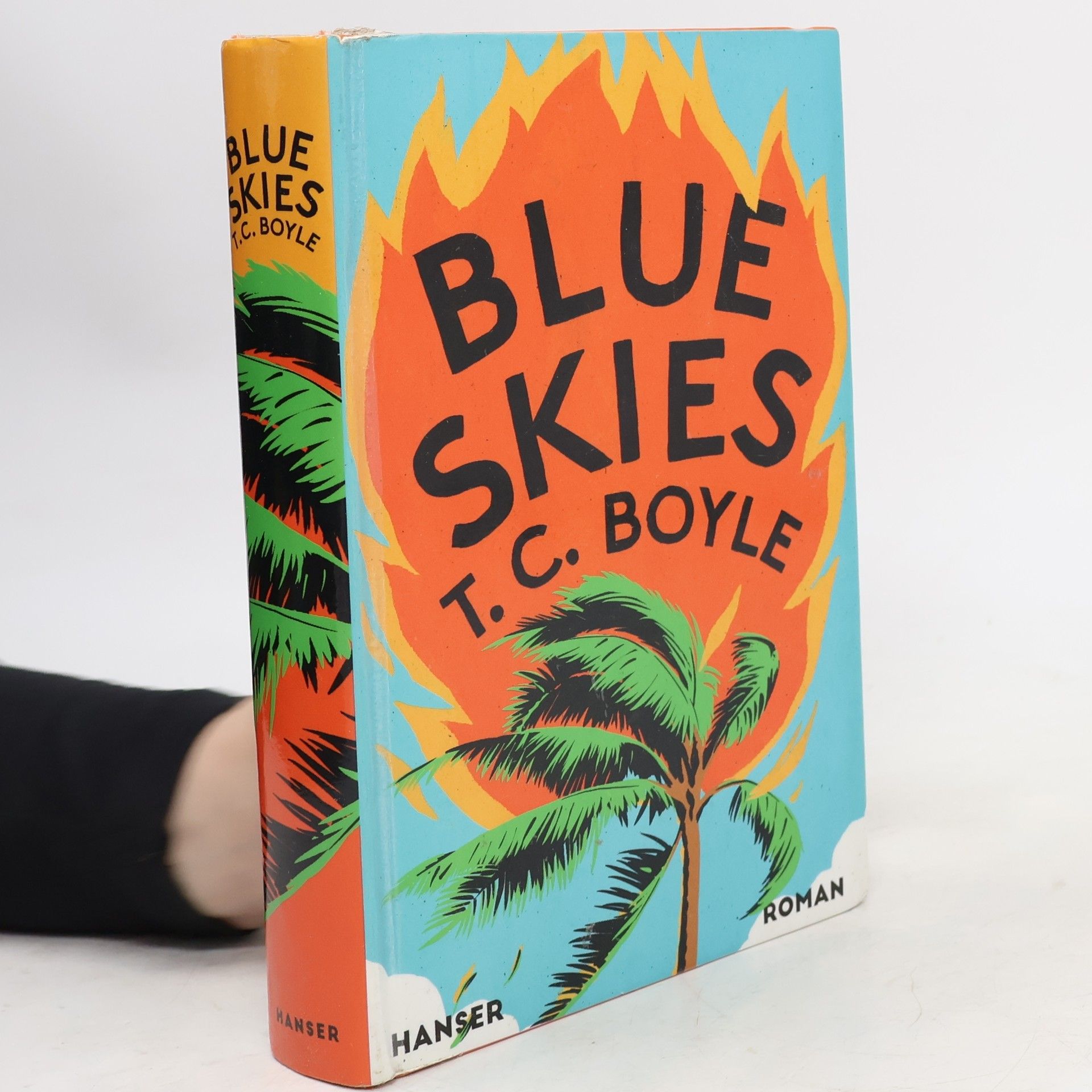 T. Coraghessan Boyle Blue Skies