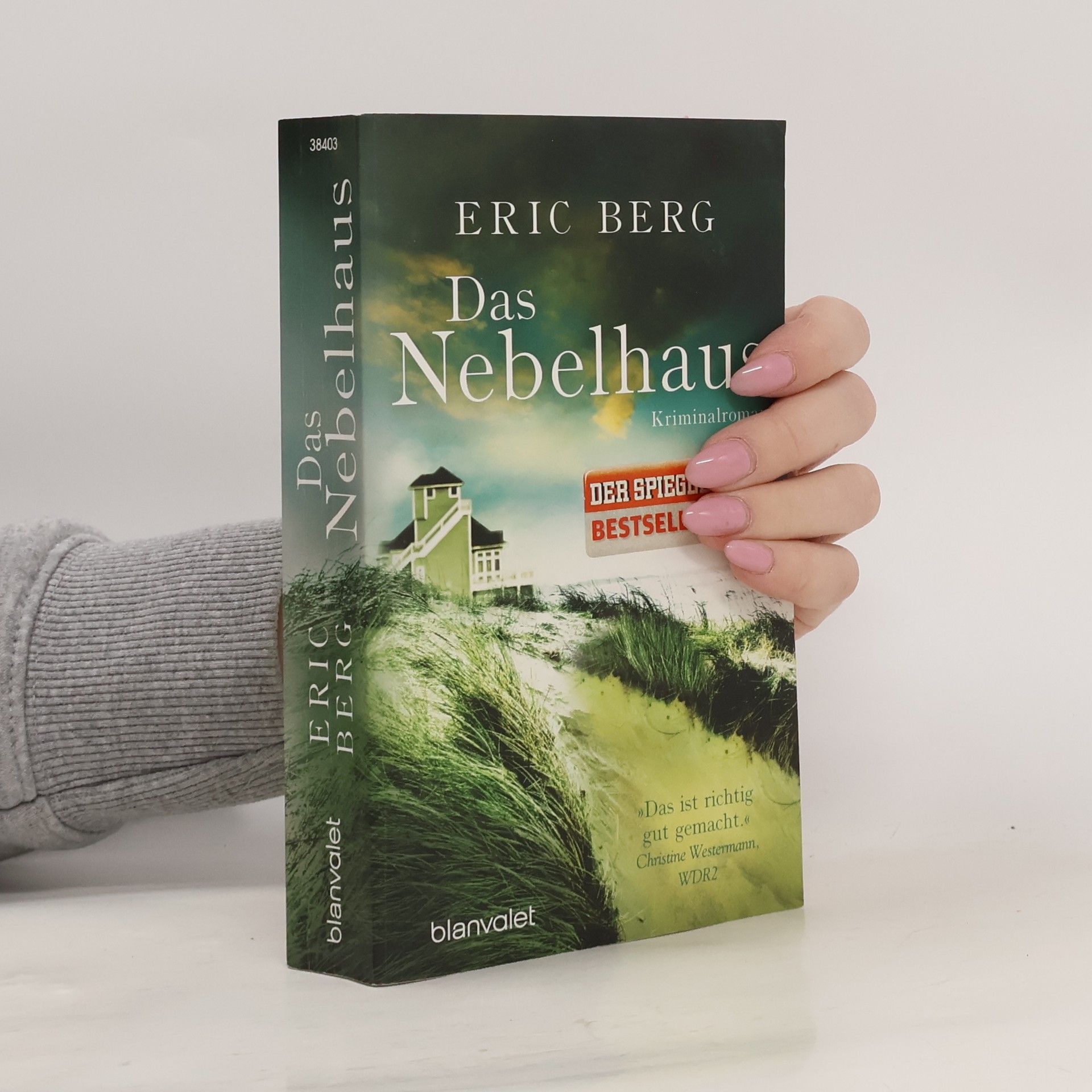 Eric Berg Das Nebelhaus