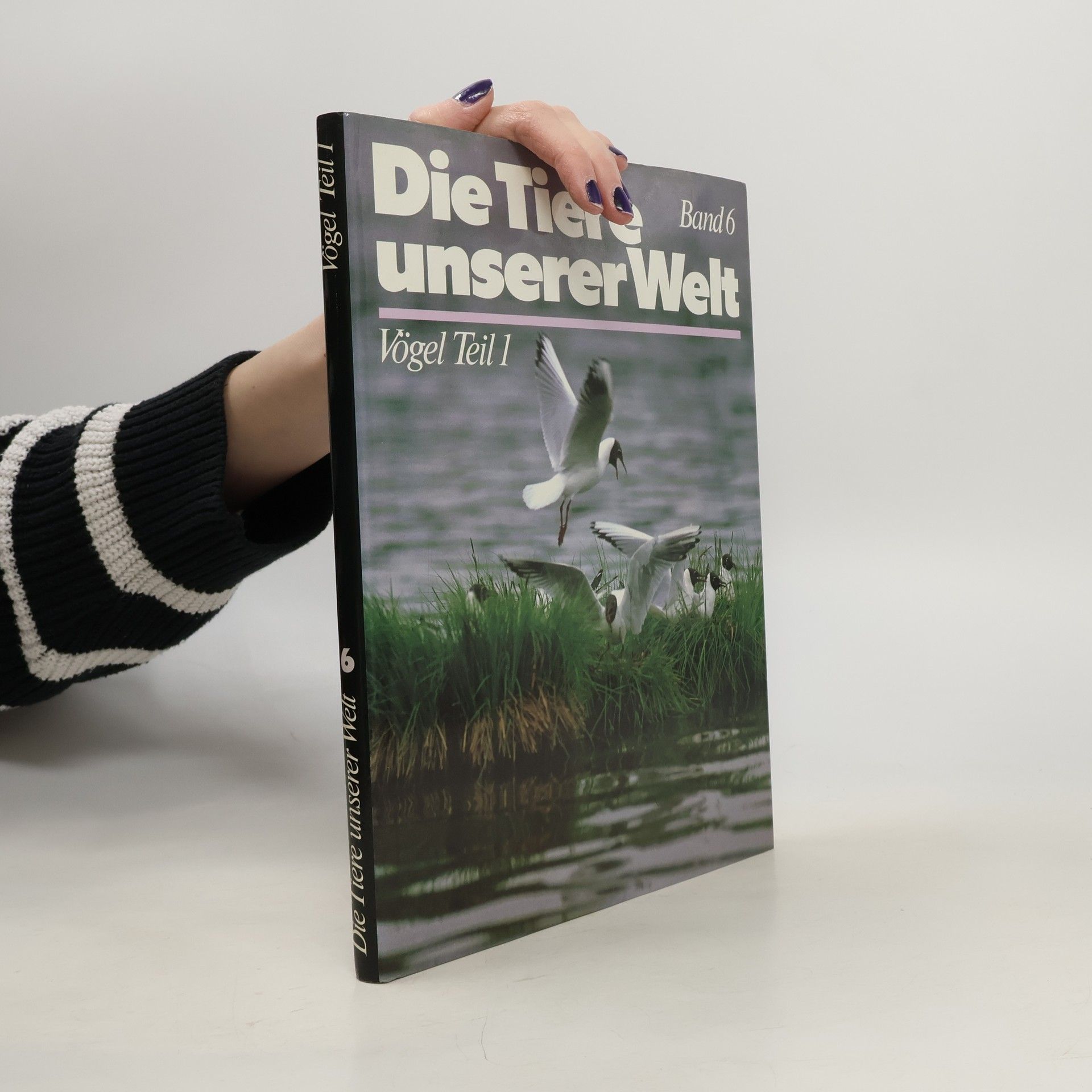 Autorenkollektiv Die Tiere unserer Welt 6. Vögel Teil 1