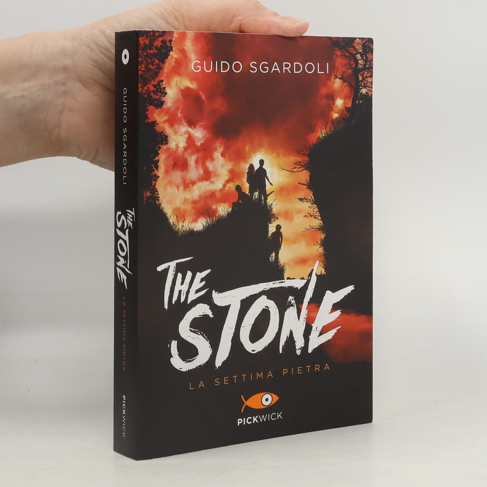 Guido Sgardoli The Stone