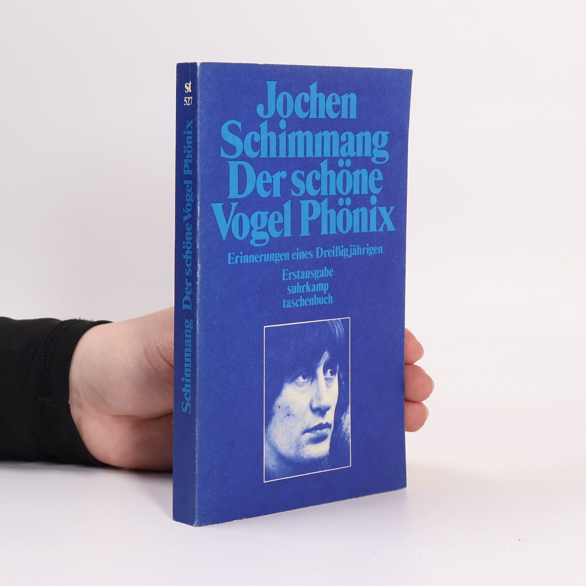 Jochen Schimmang Der schöne Vogel Phönix