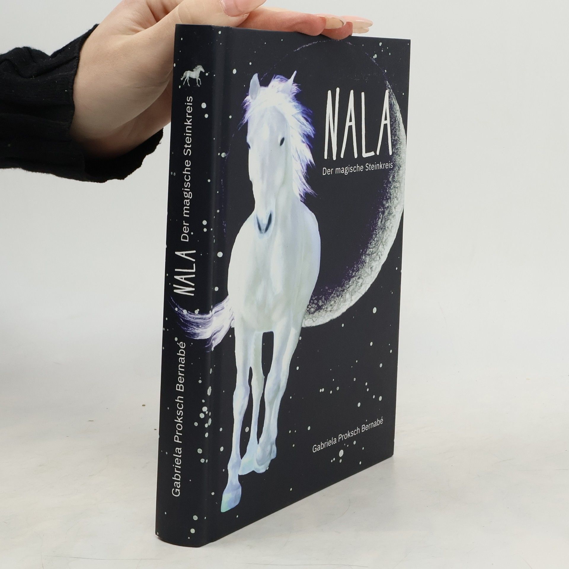 Gabriela Proksch Bernabé Nala - der magische Steinkreis
