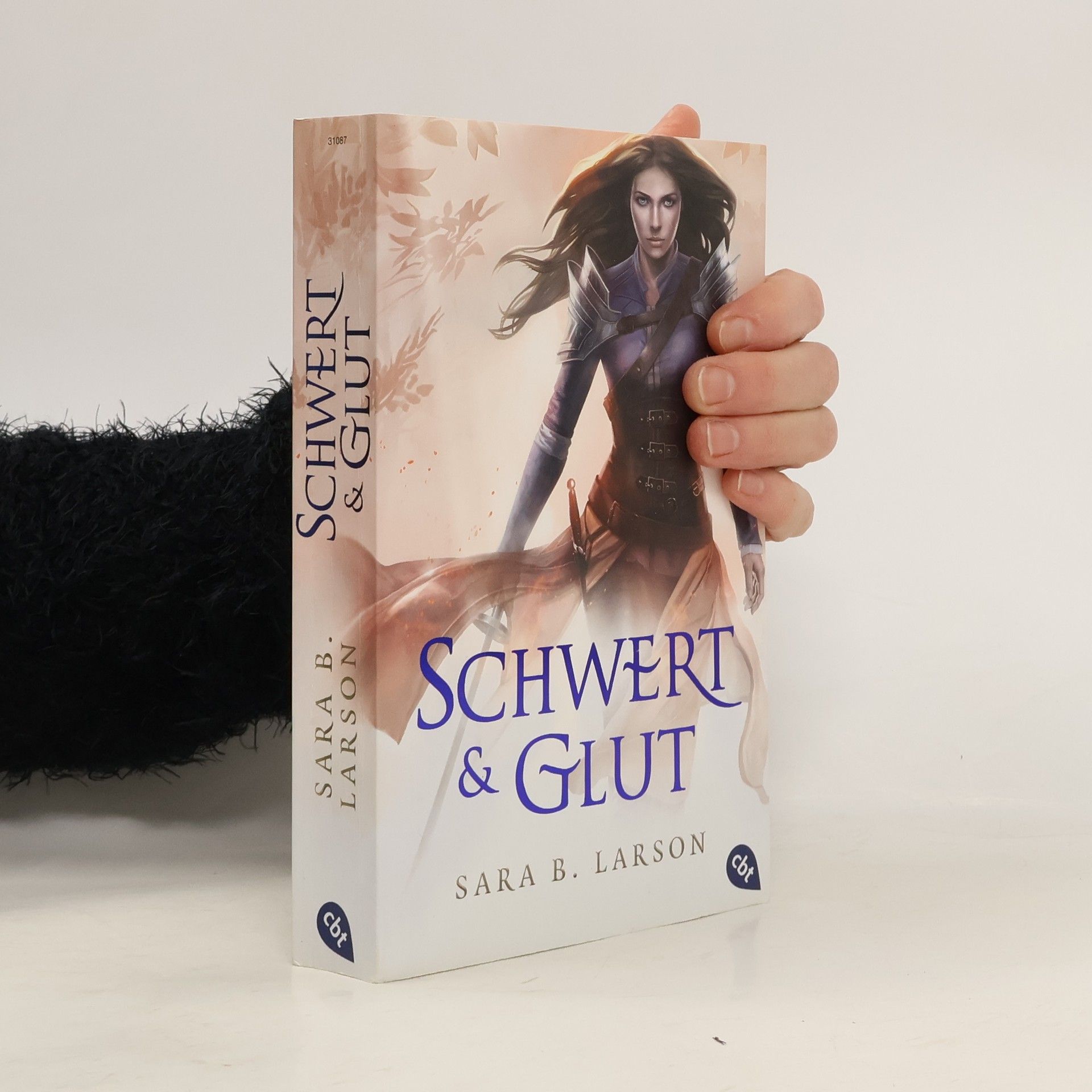 Sara B. Larson Schwert und Glut