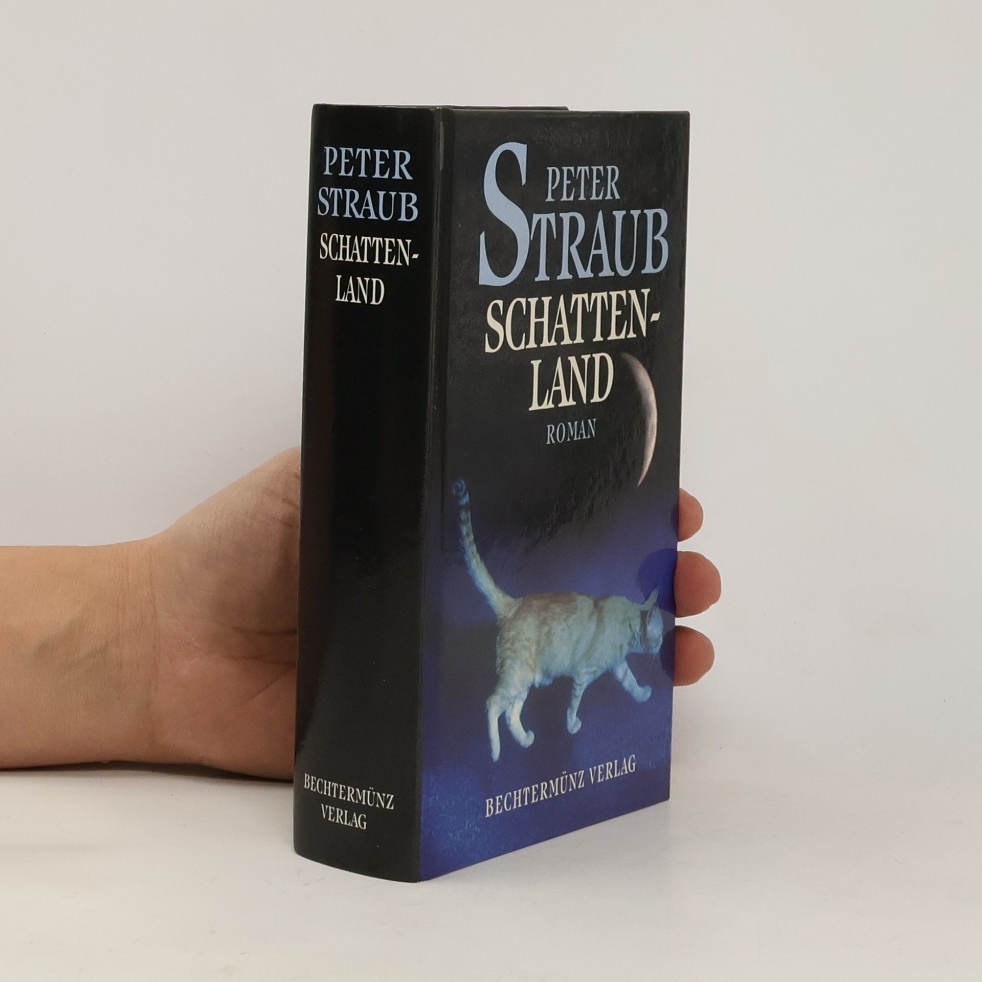 Peter Straub Schattenland