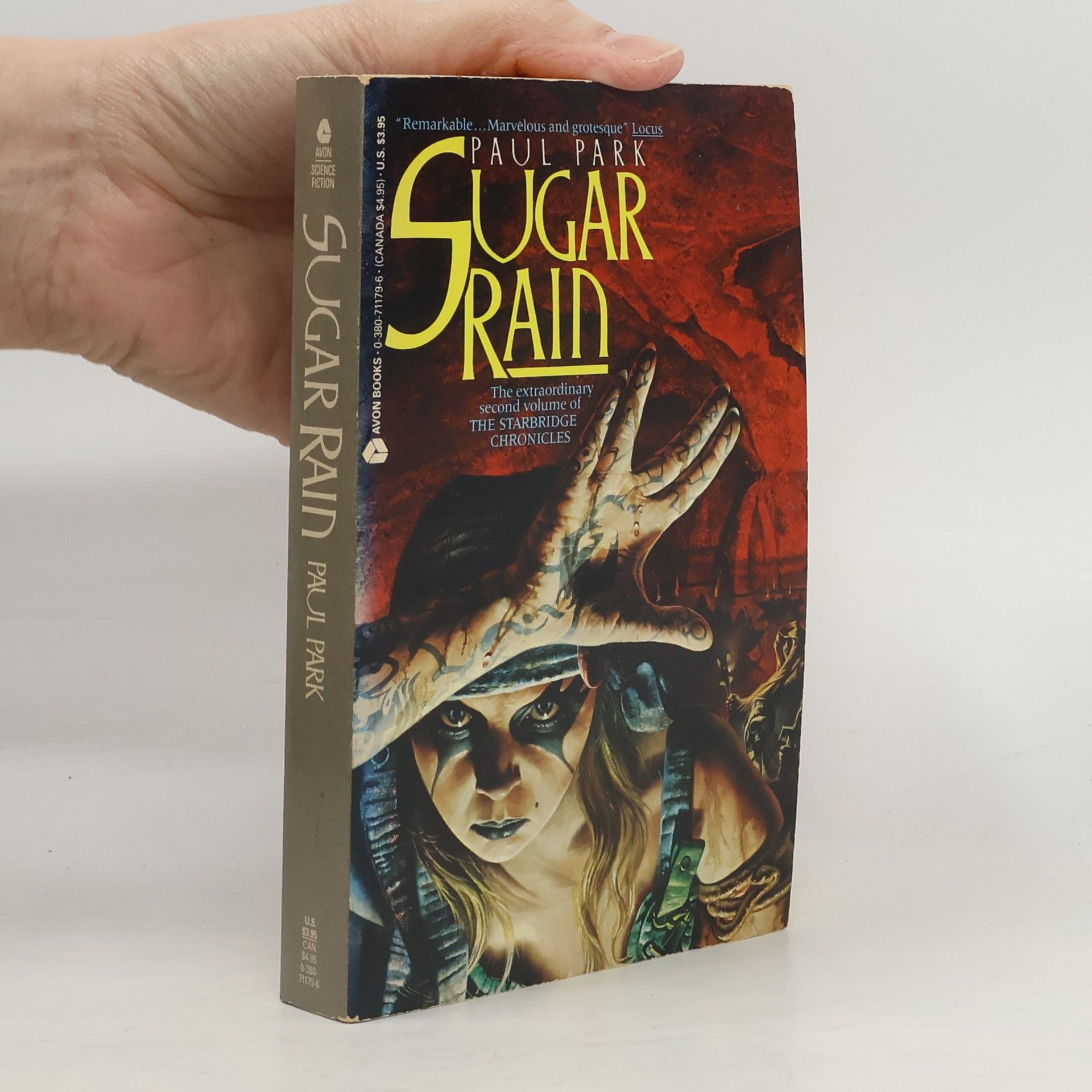 Paul Park Sugar Rain