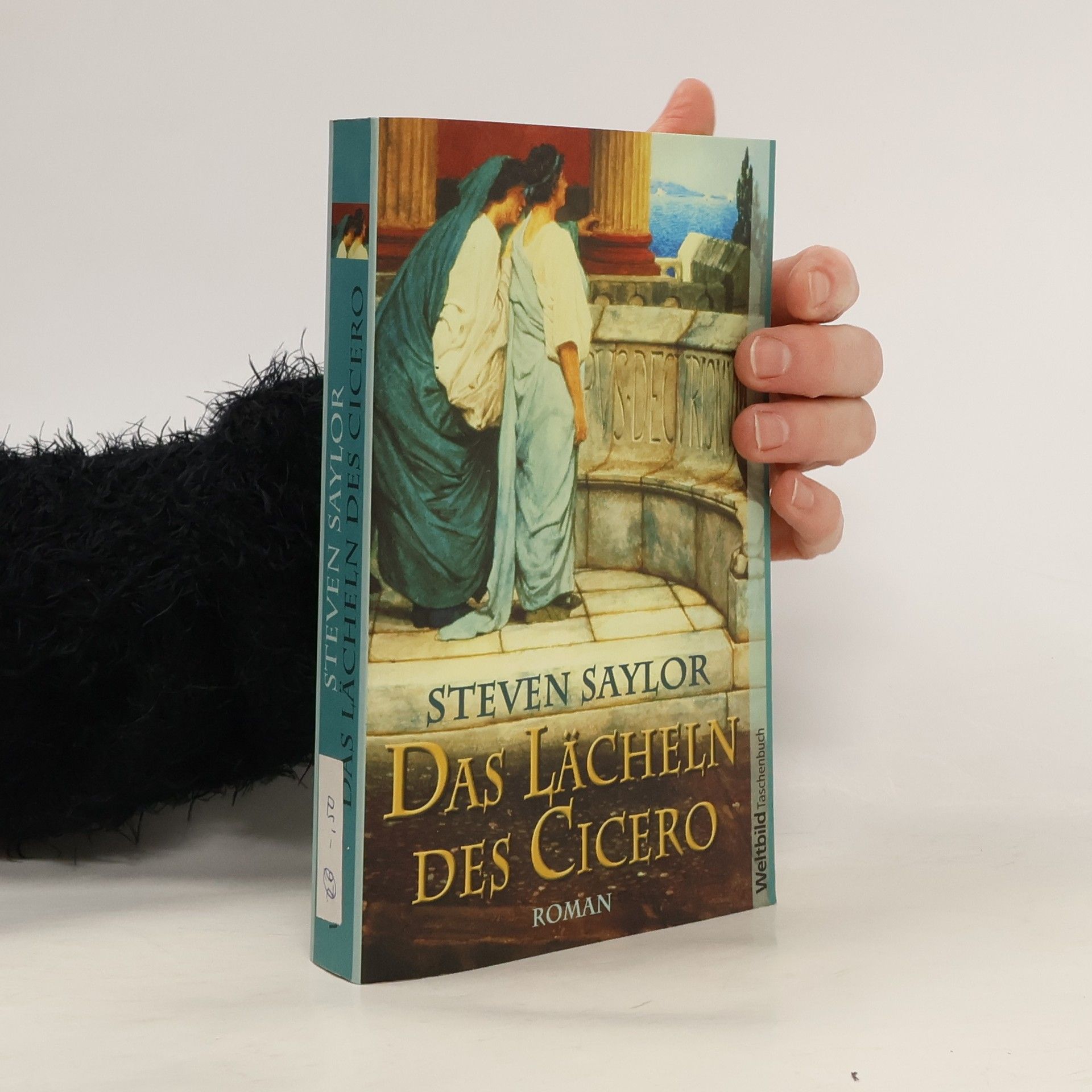 Steven Saylor Das Lächeln des Cicero