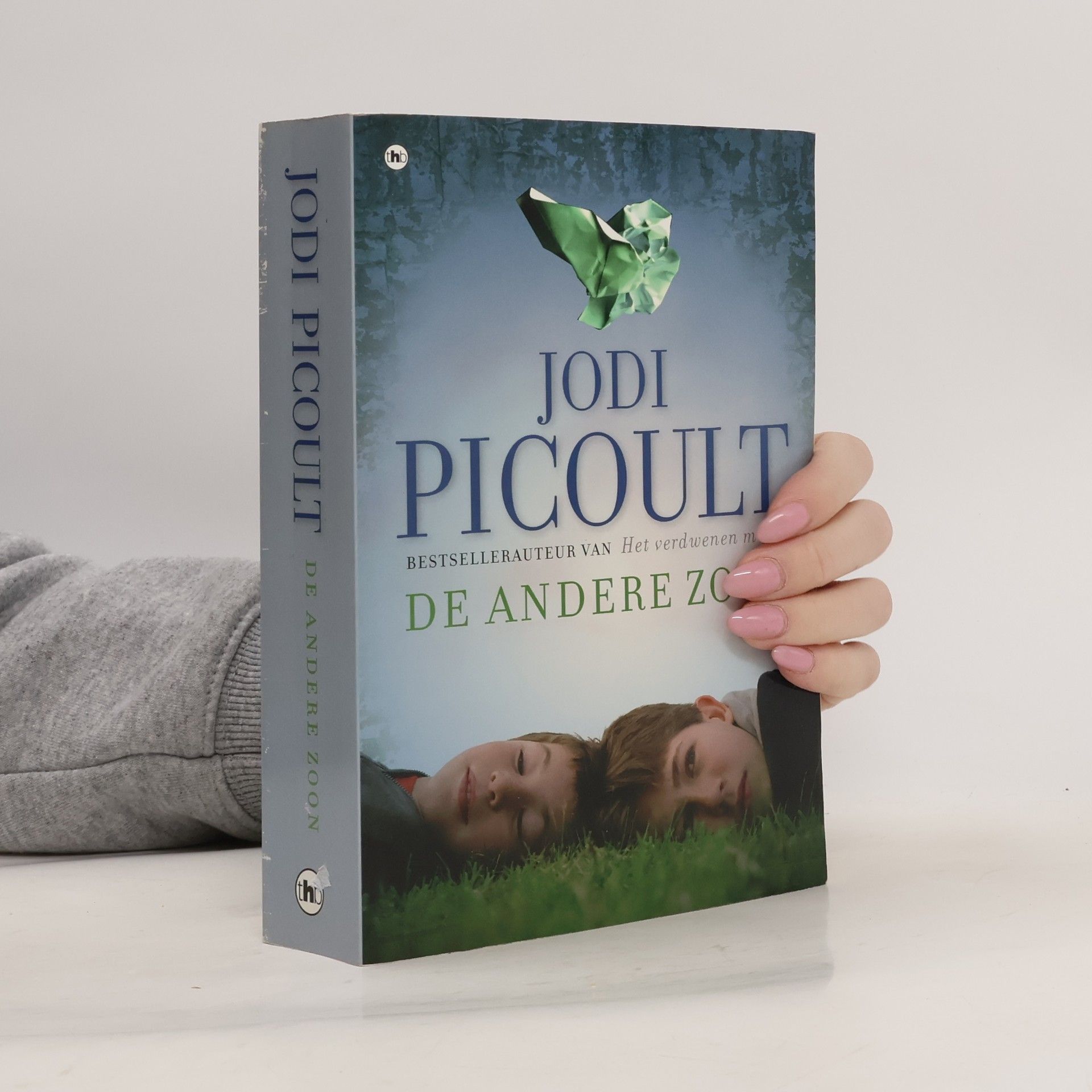 Jodi Picoult De andere zoon