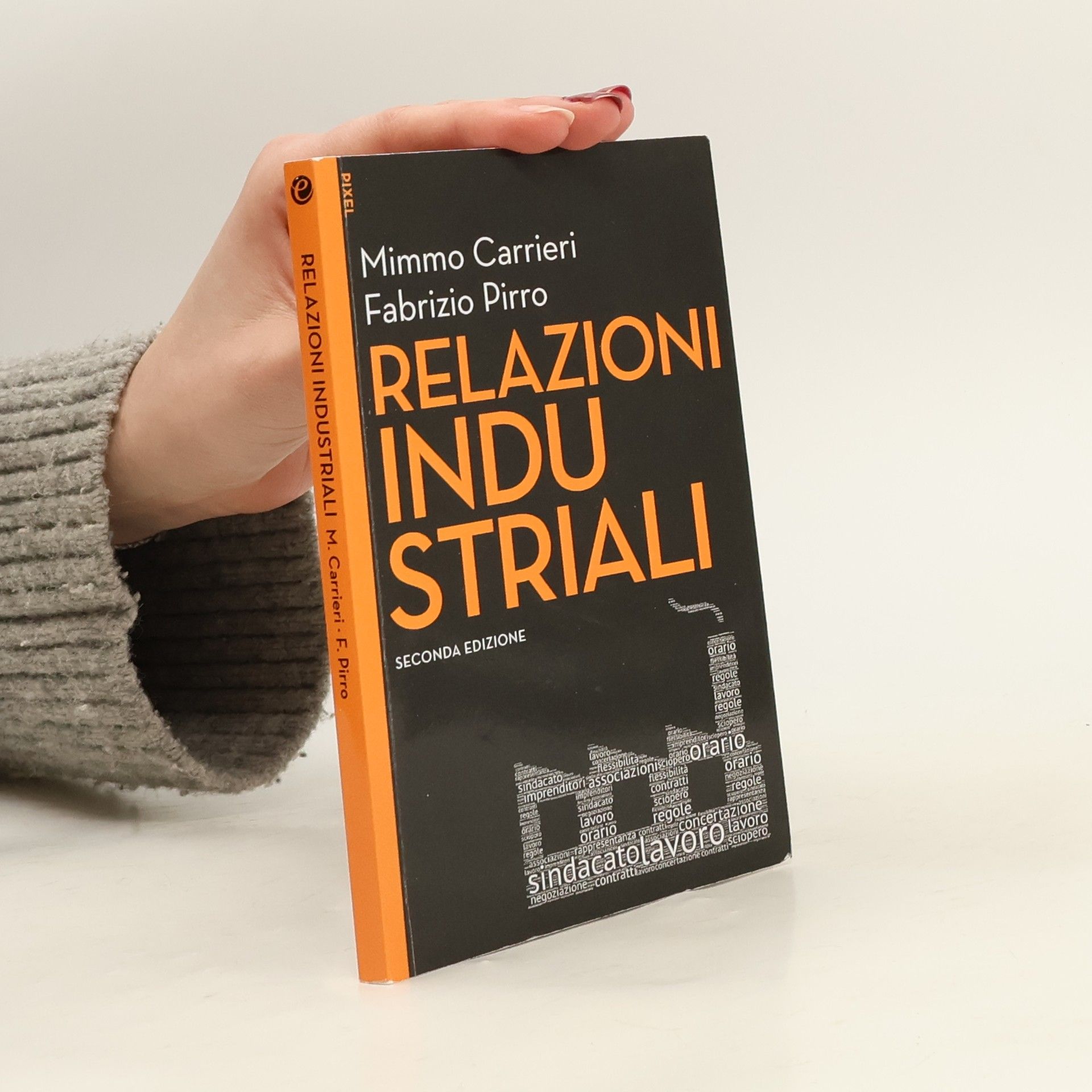 Mimmo Carrieri Relazioni industriali