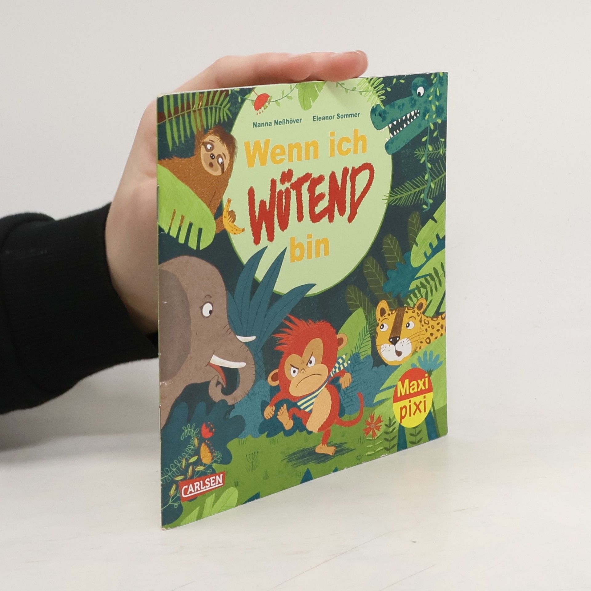 Nanna Neßhöver Maxi Pixi 360: Wenn ich wütend bin