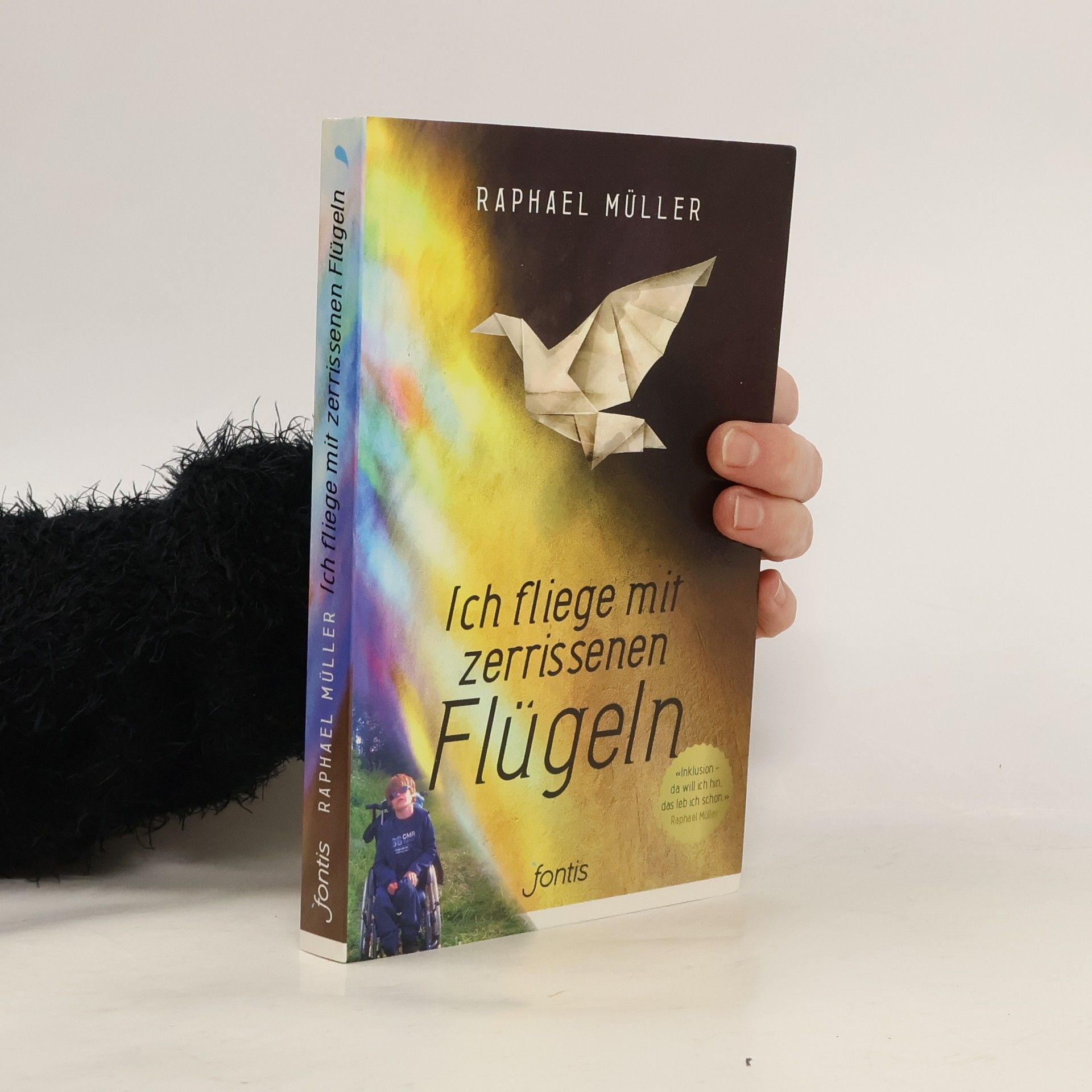 Raphael Müller Ich fliege mit zerrissenen Flügeln