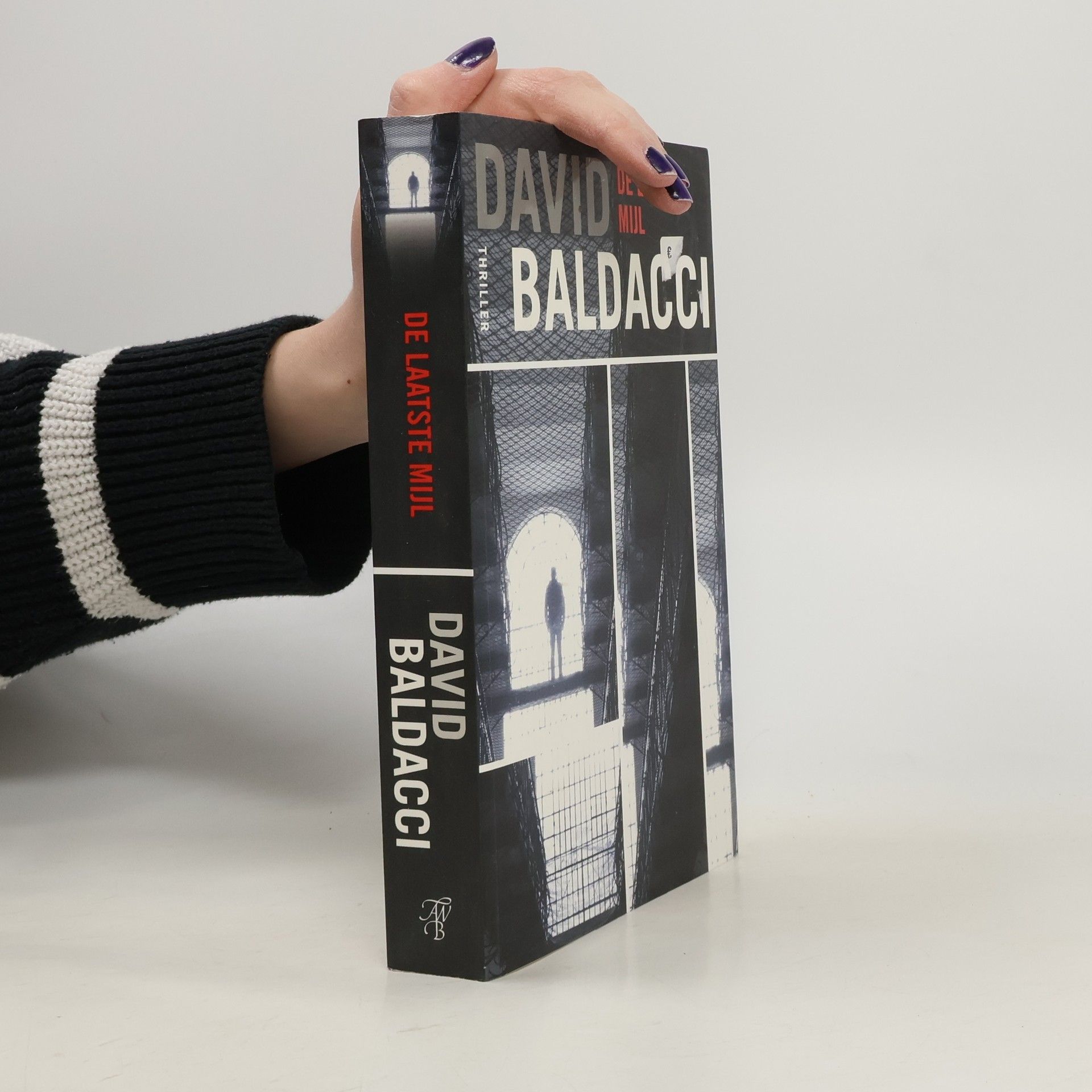 Jolanda te Lindert De laatste mijl / druk 1