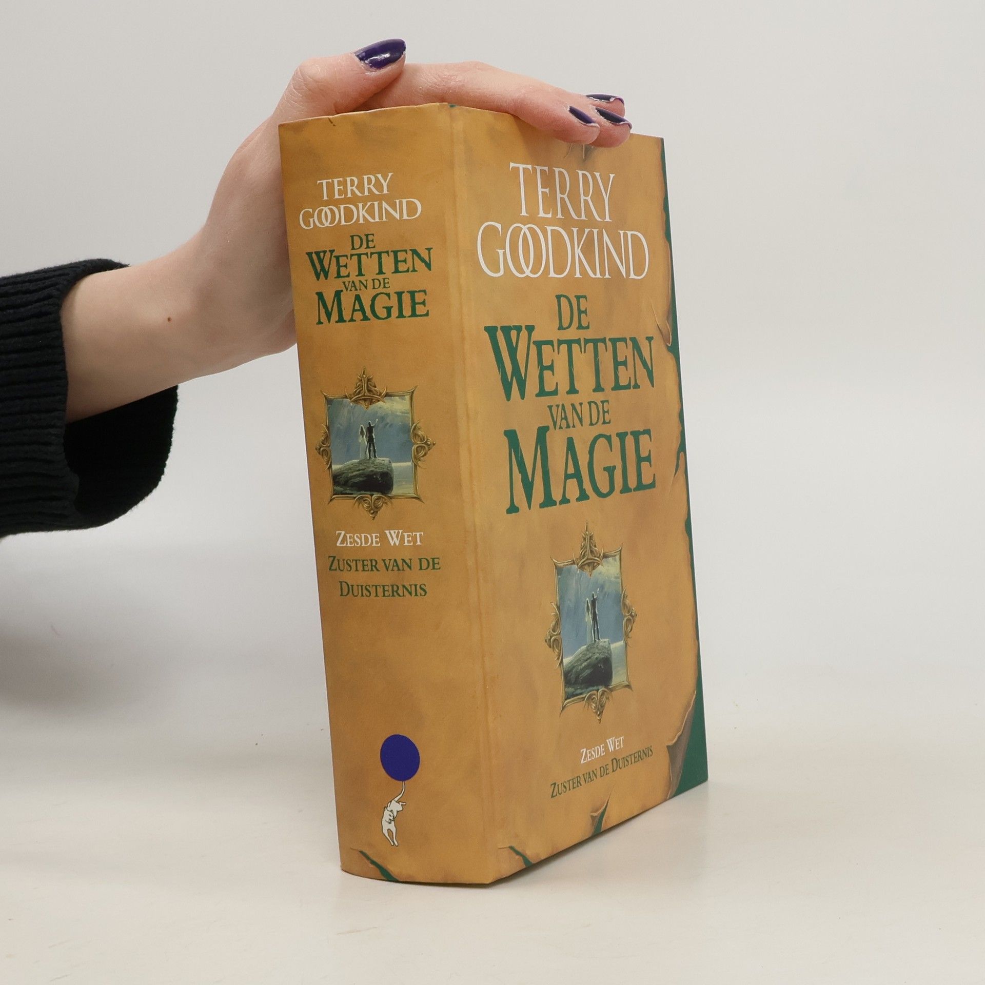 Josephine Ruitenberg De Wetten van de Magie - 6: Zuster van de duisternis