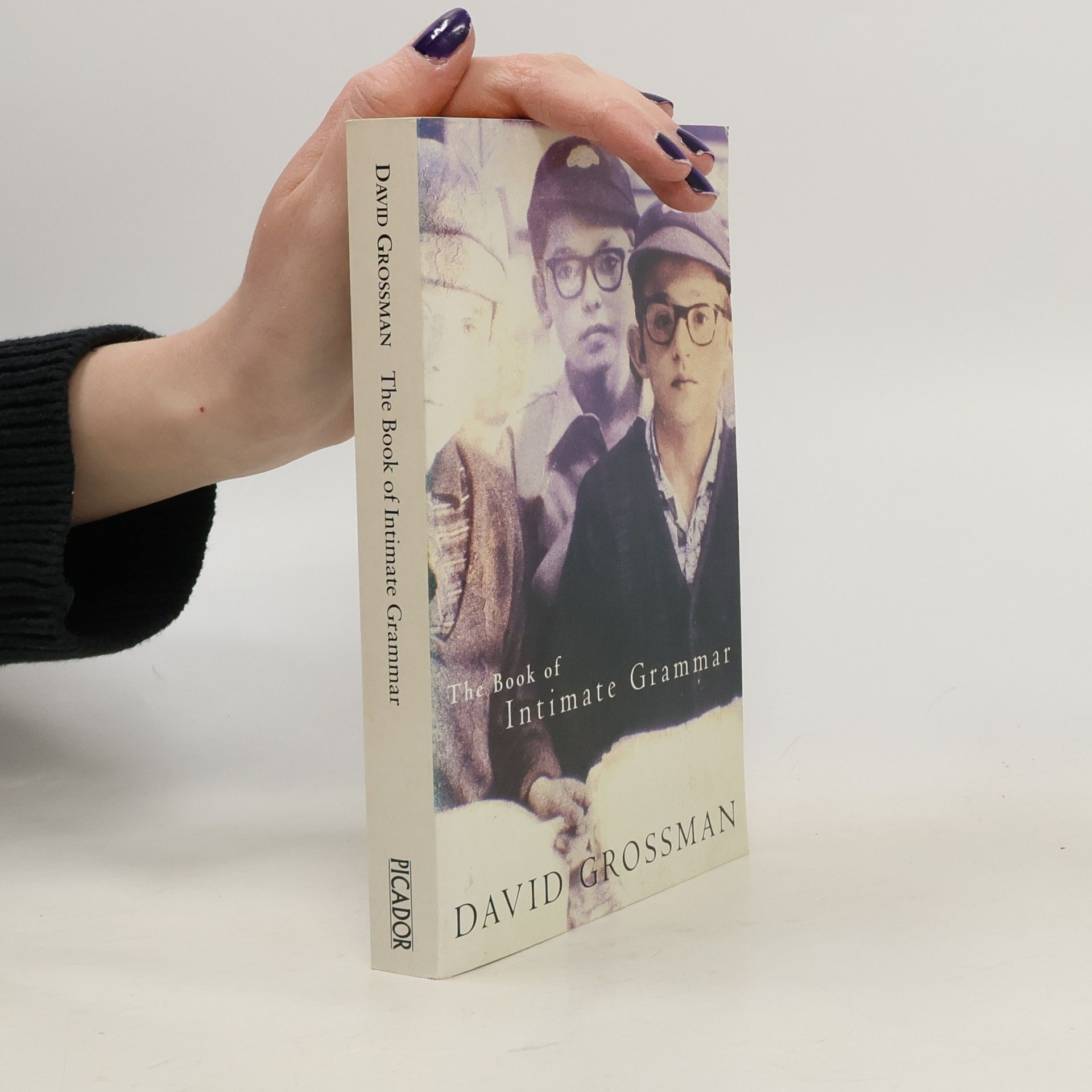 David Grossman The Book of Intimate Grammar