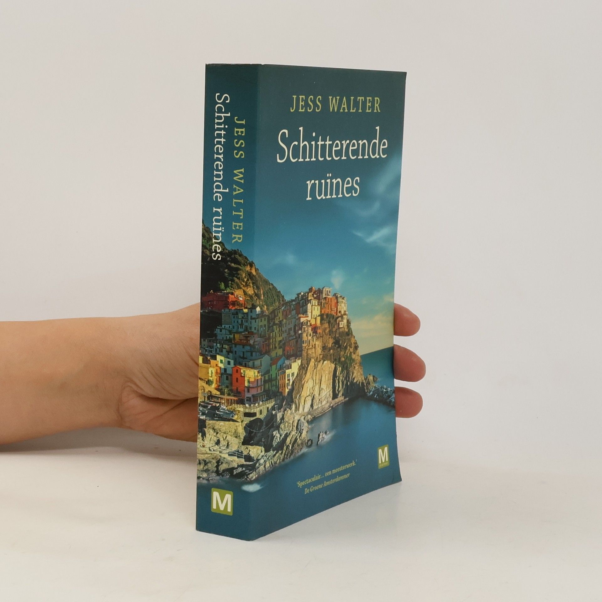 Jess Walter Schitterende ruïnes