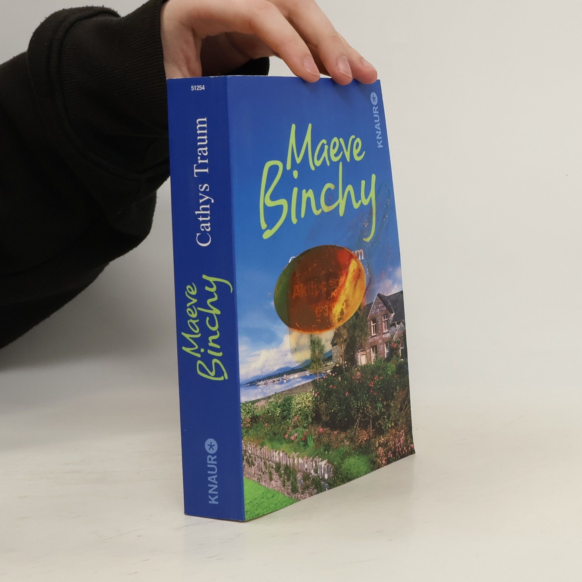 Maeve Binchy Cathys Traum