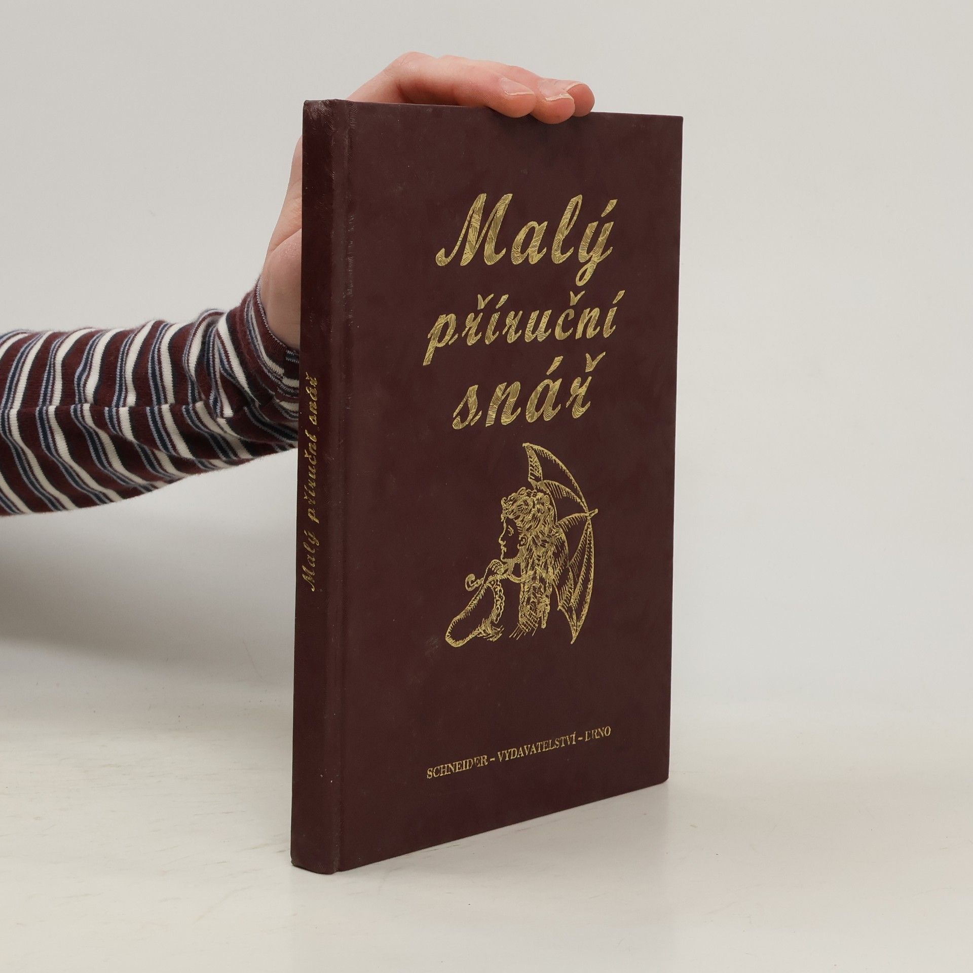 Auteurscollectief Malý příruční snář