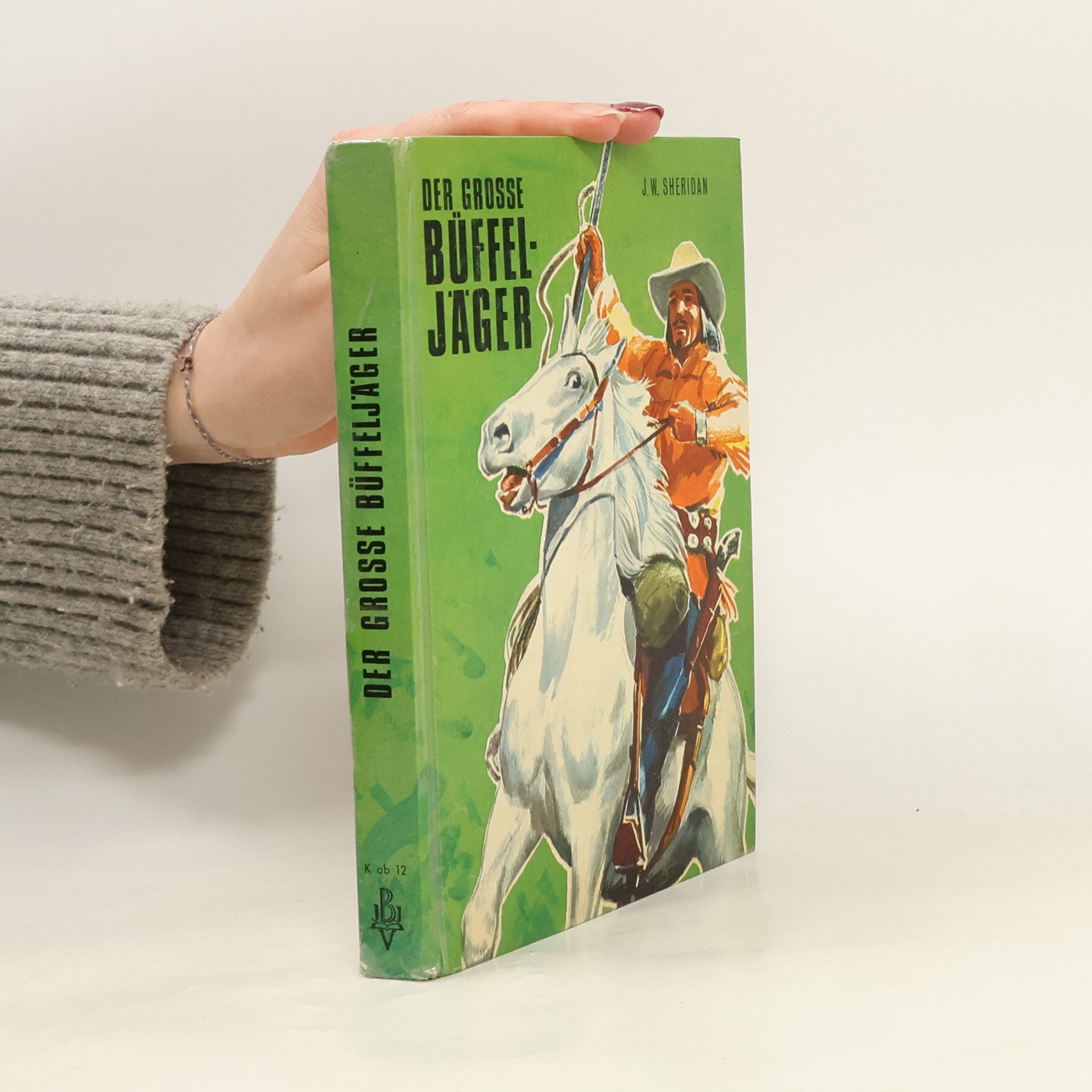 J. W. Sheridan Der grosse Büffeljäger