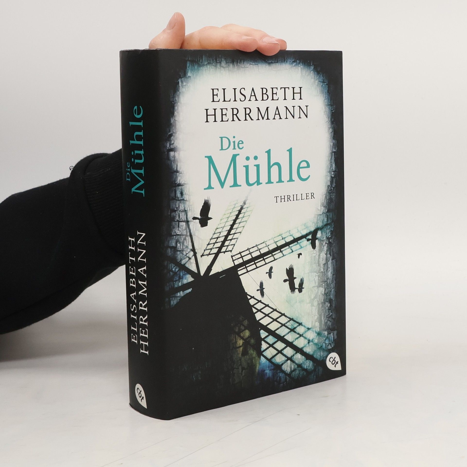 Elisabeth Hermann Die Mühle