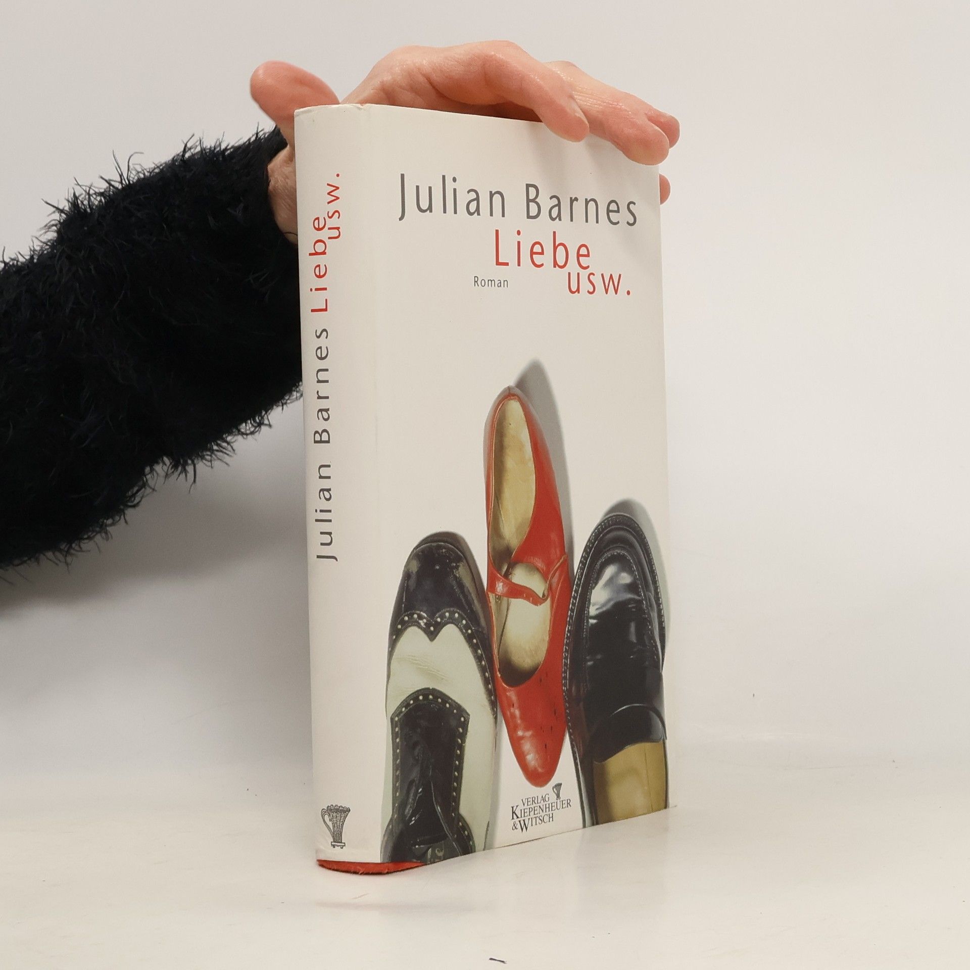 Julian Barnes Liebe usw.