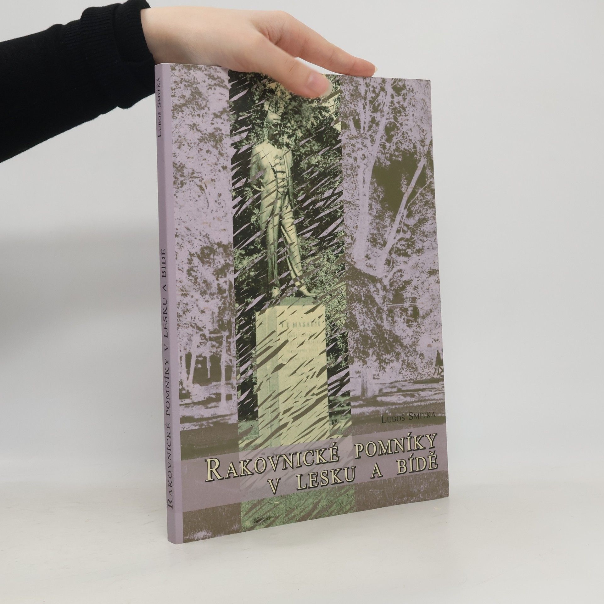 Luboš Smitka Rakovnické pomníky v lesku a bídě