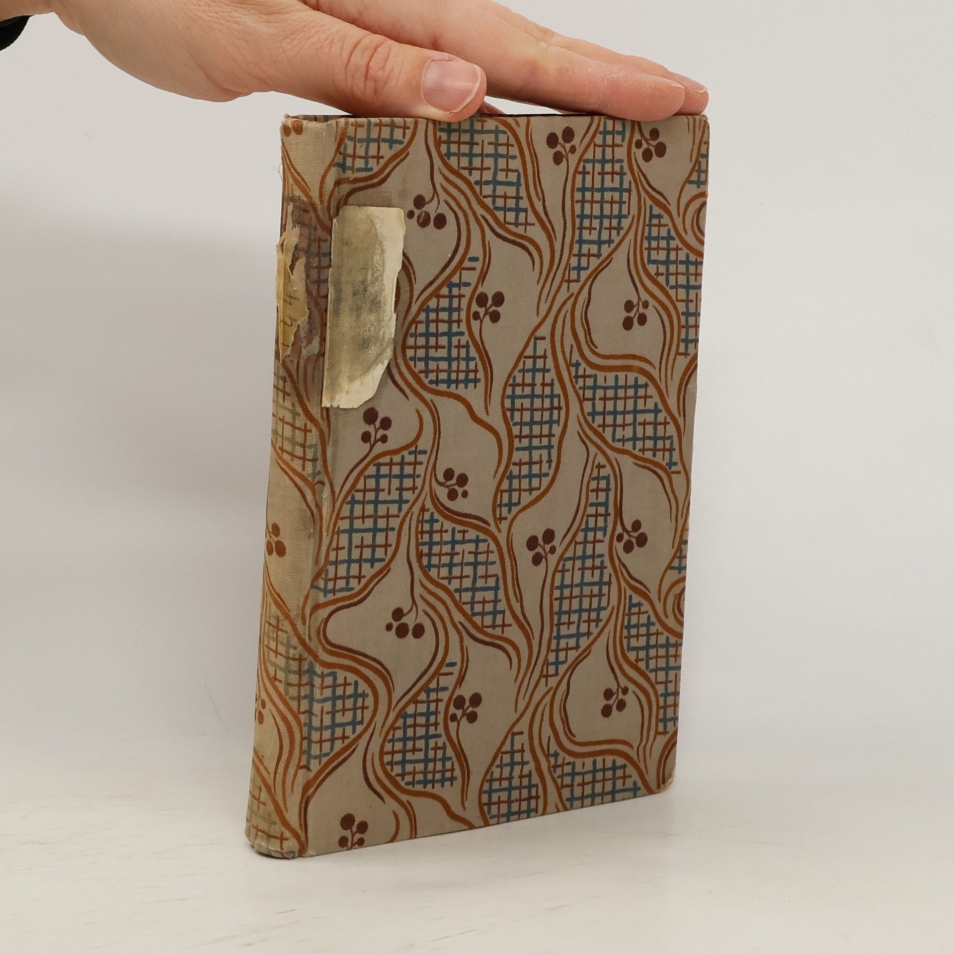 Victor Hugo Jean Valjean 5