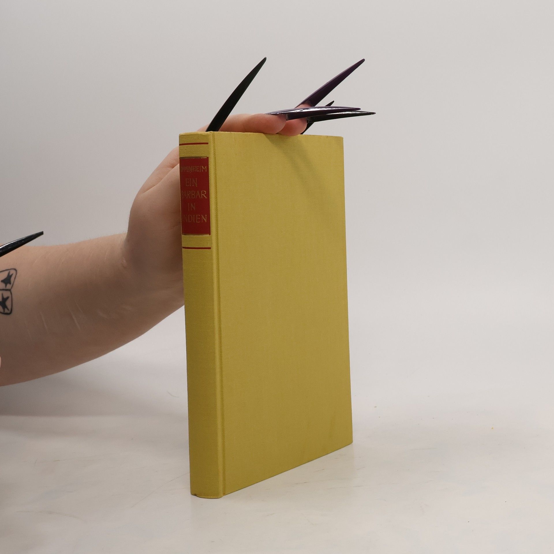 Ein Barbar in Indien