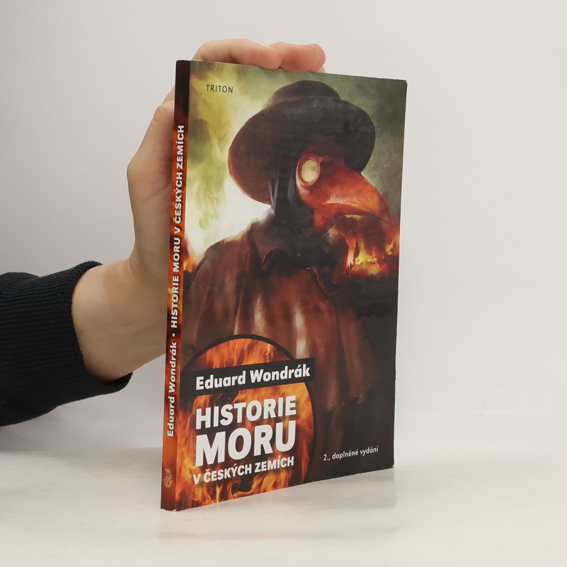 Historie moru v českých zemích